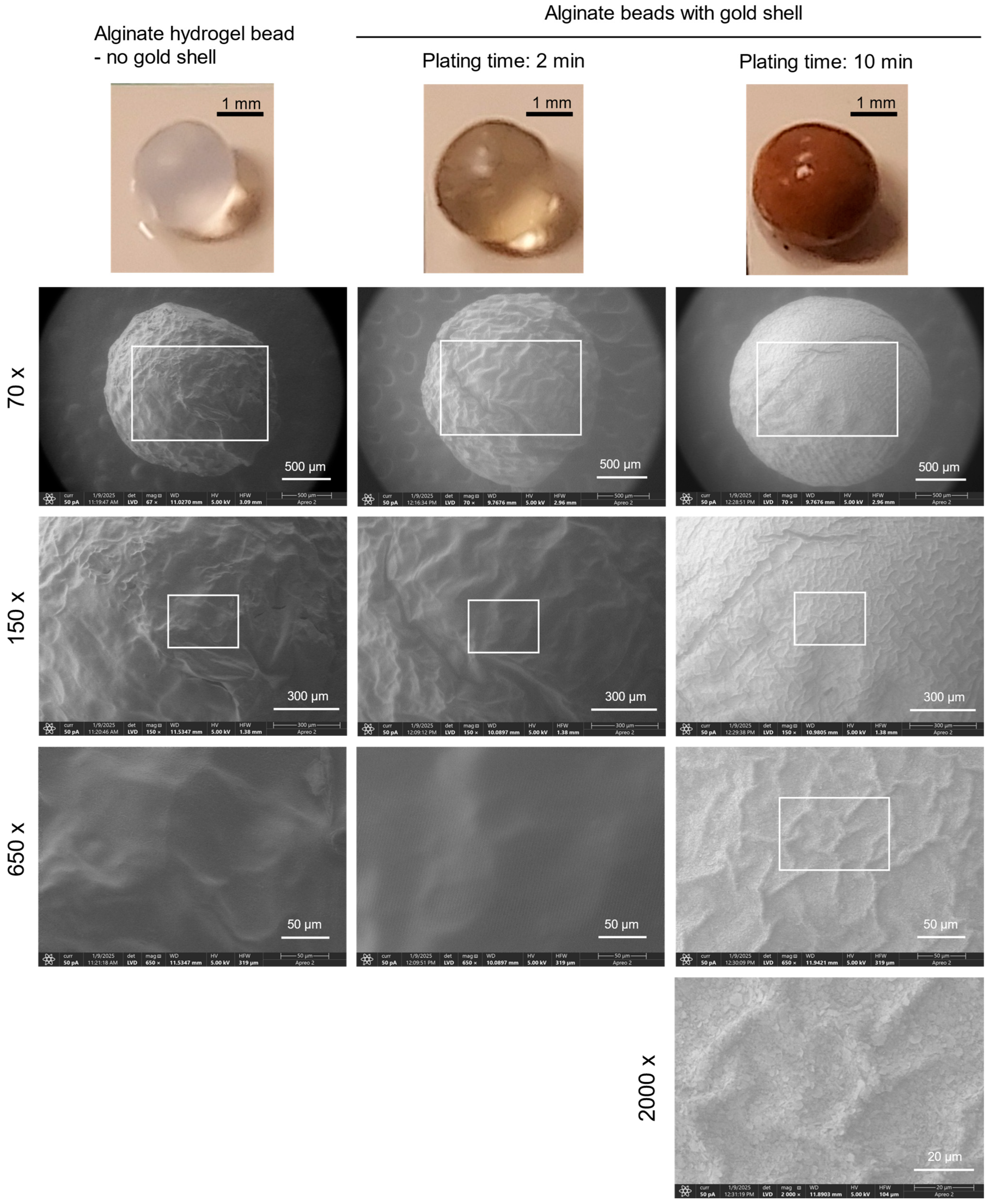 Pharmaceutics 17 00133 g003