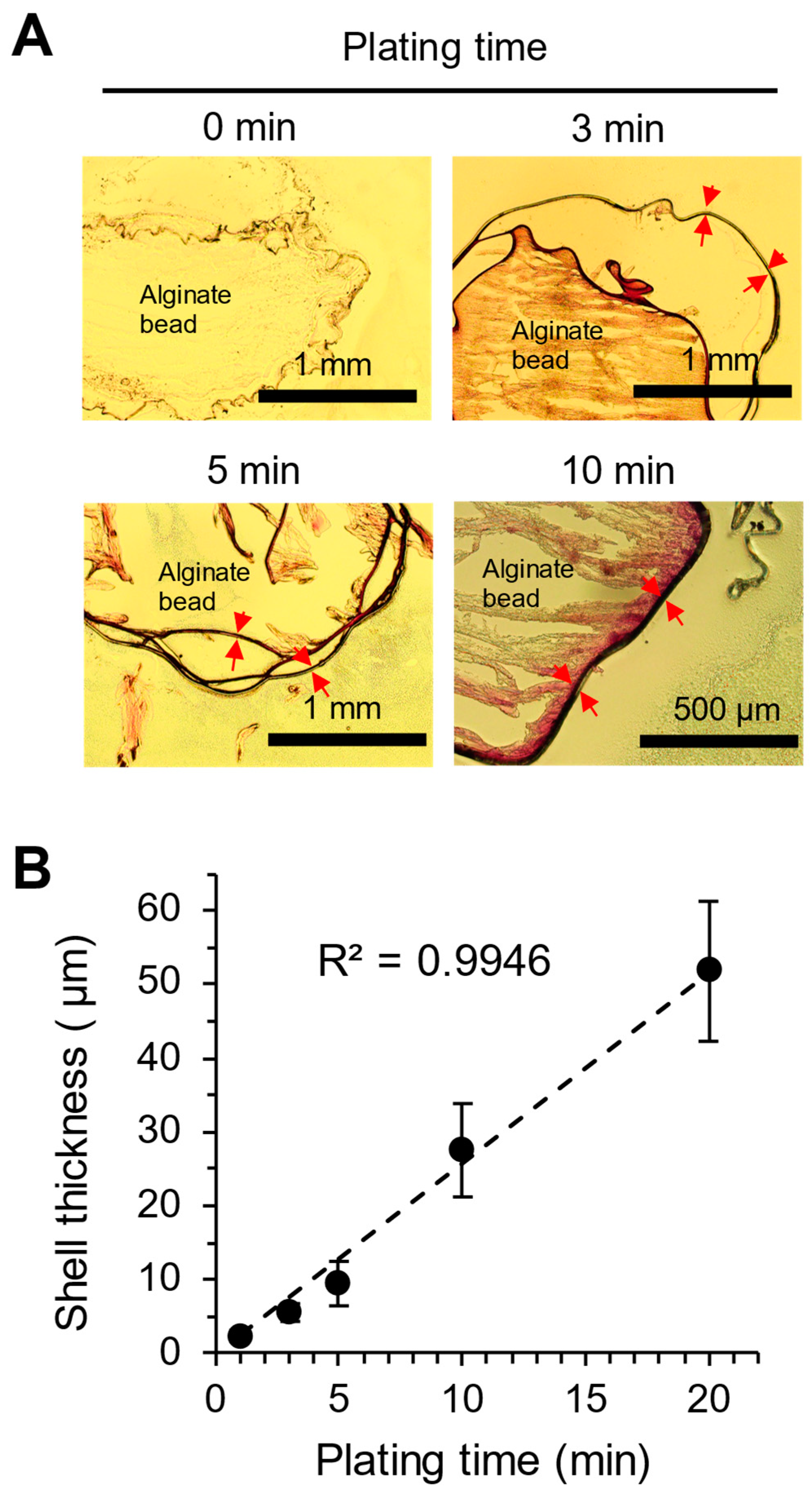 Pharmaceutics 17 00133 g004
