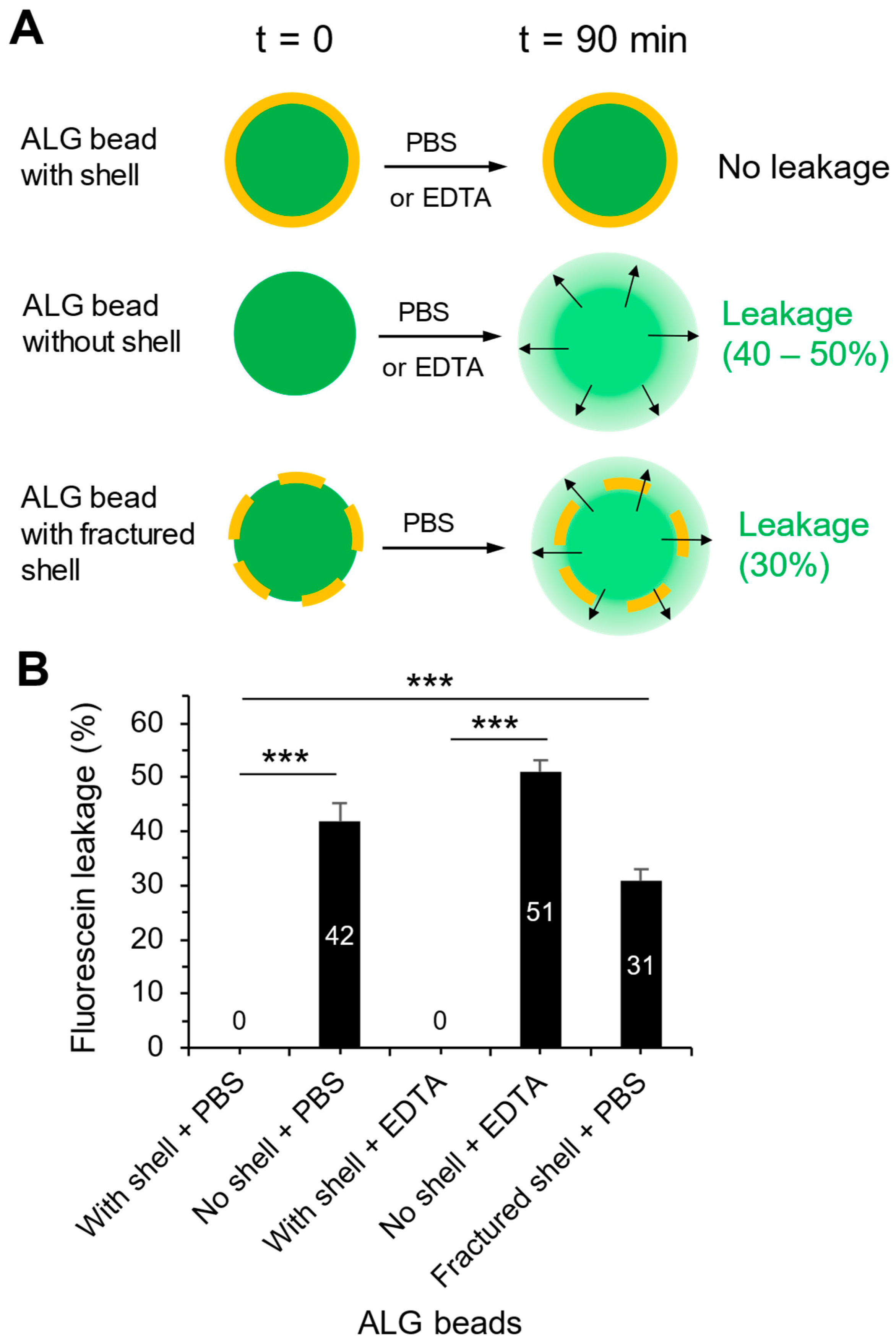 Pharmaceutics 17 00133 g005