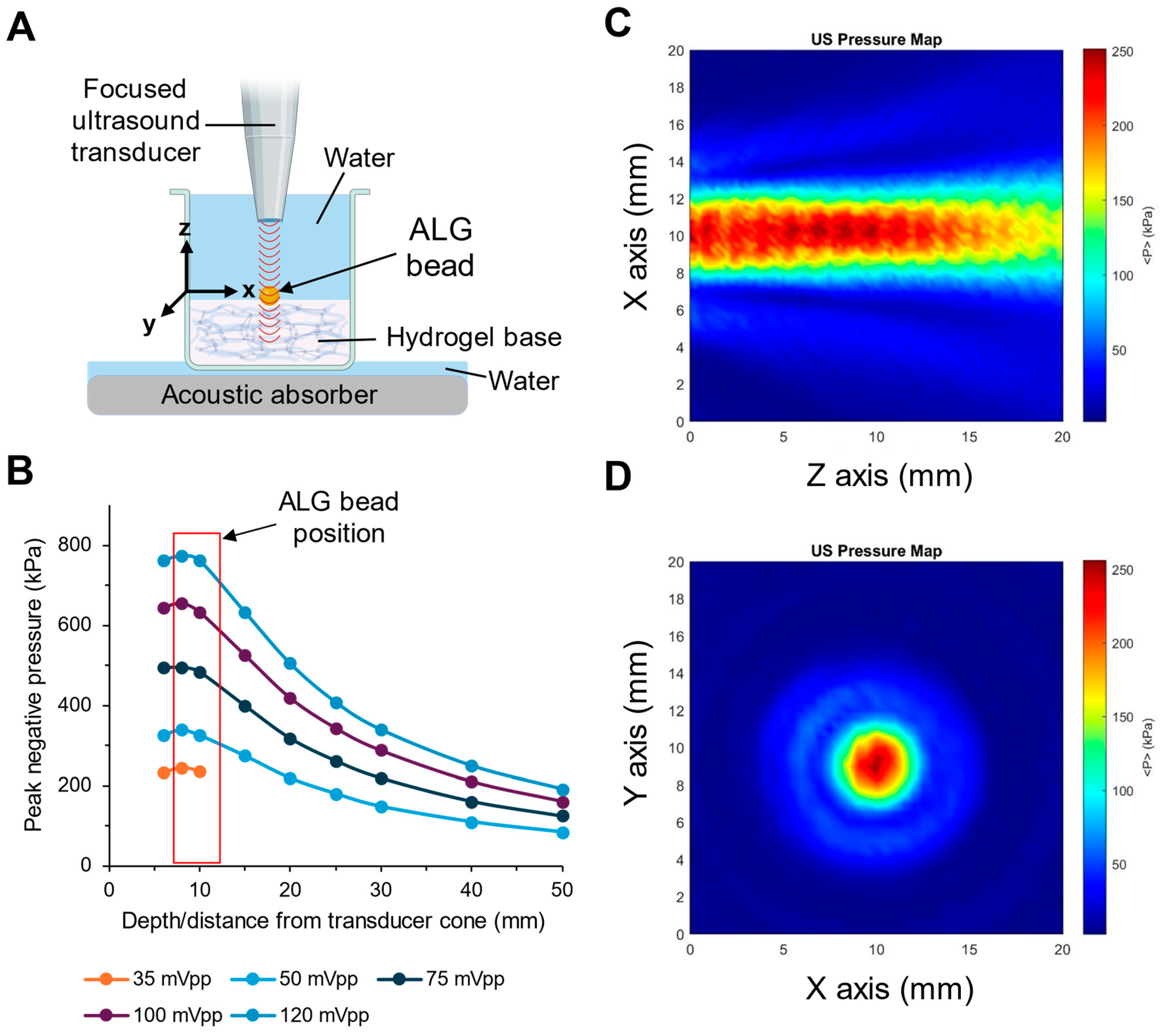Pharmaceutics 17 00133 g006