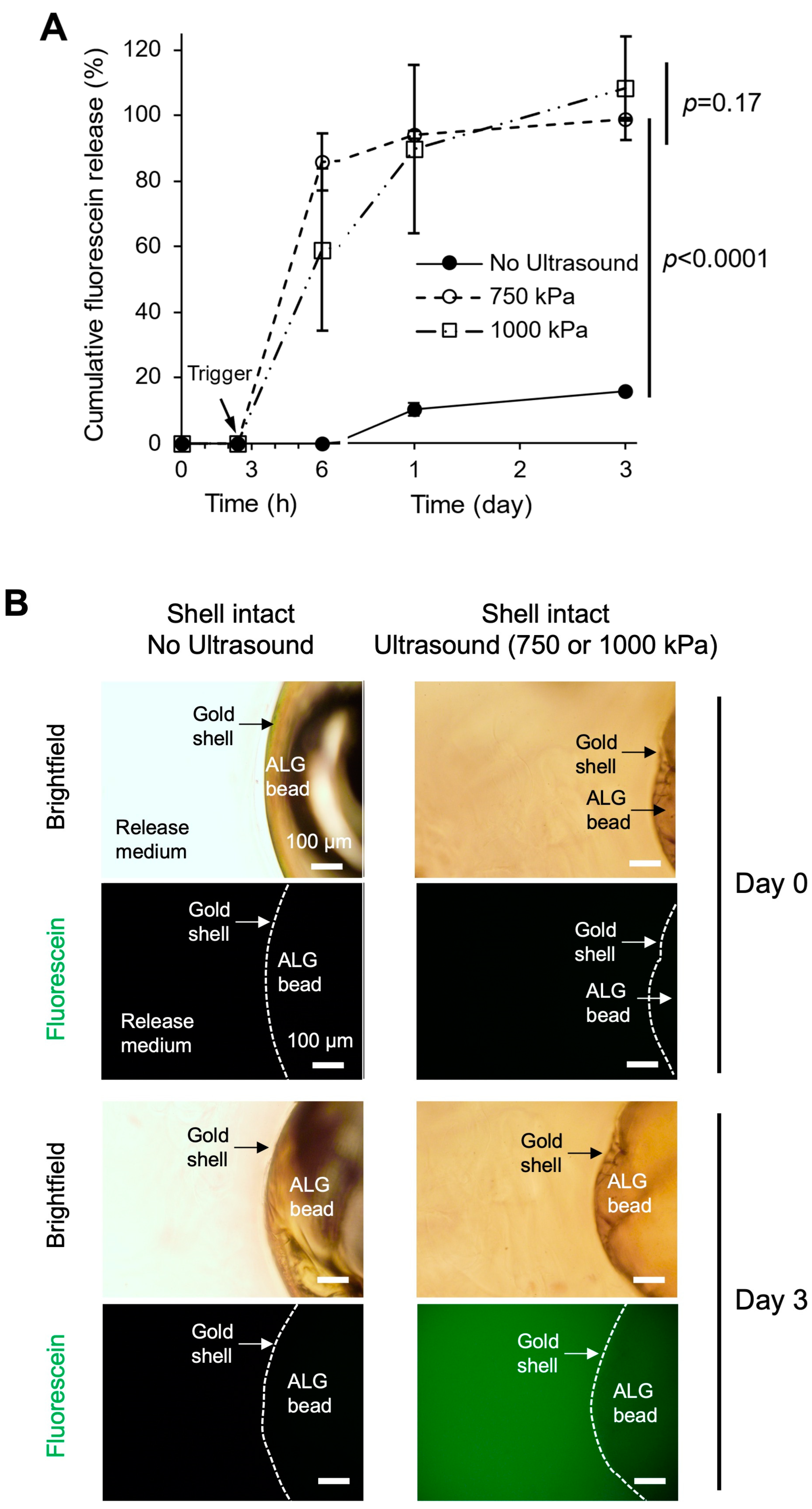 Pharmaceutics 17 00133 g007
