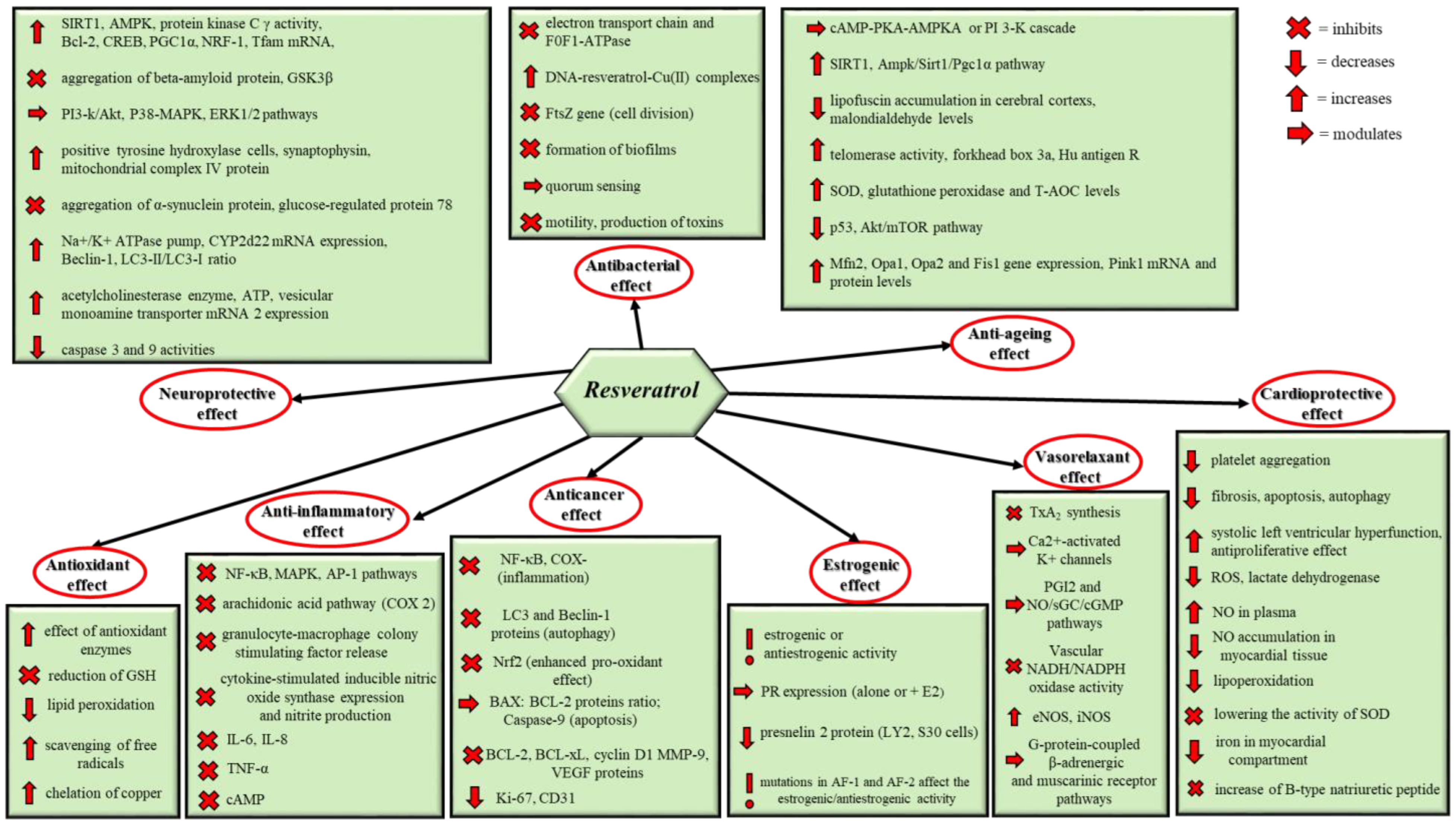 Pharmaceutics 17 00134 g001