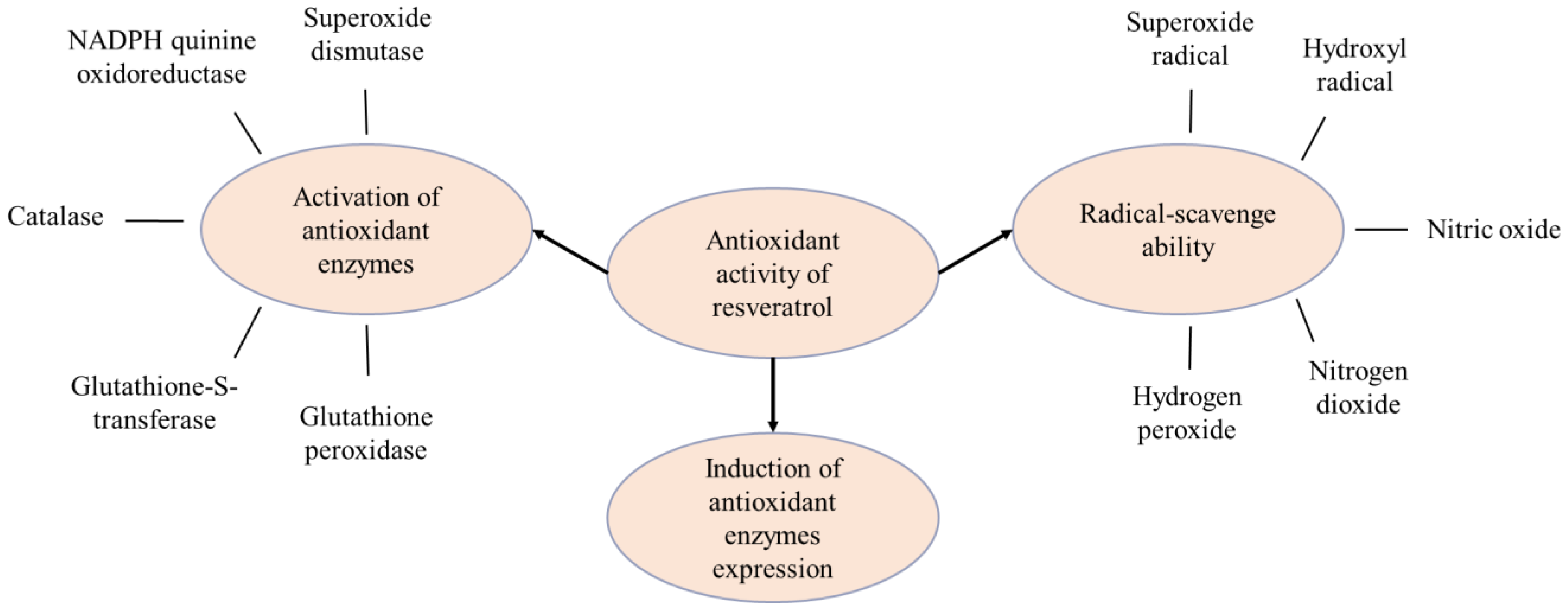 Pharmaceutics 17 00134 g002