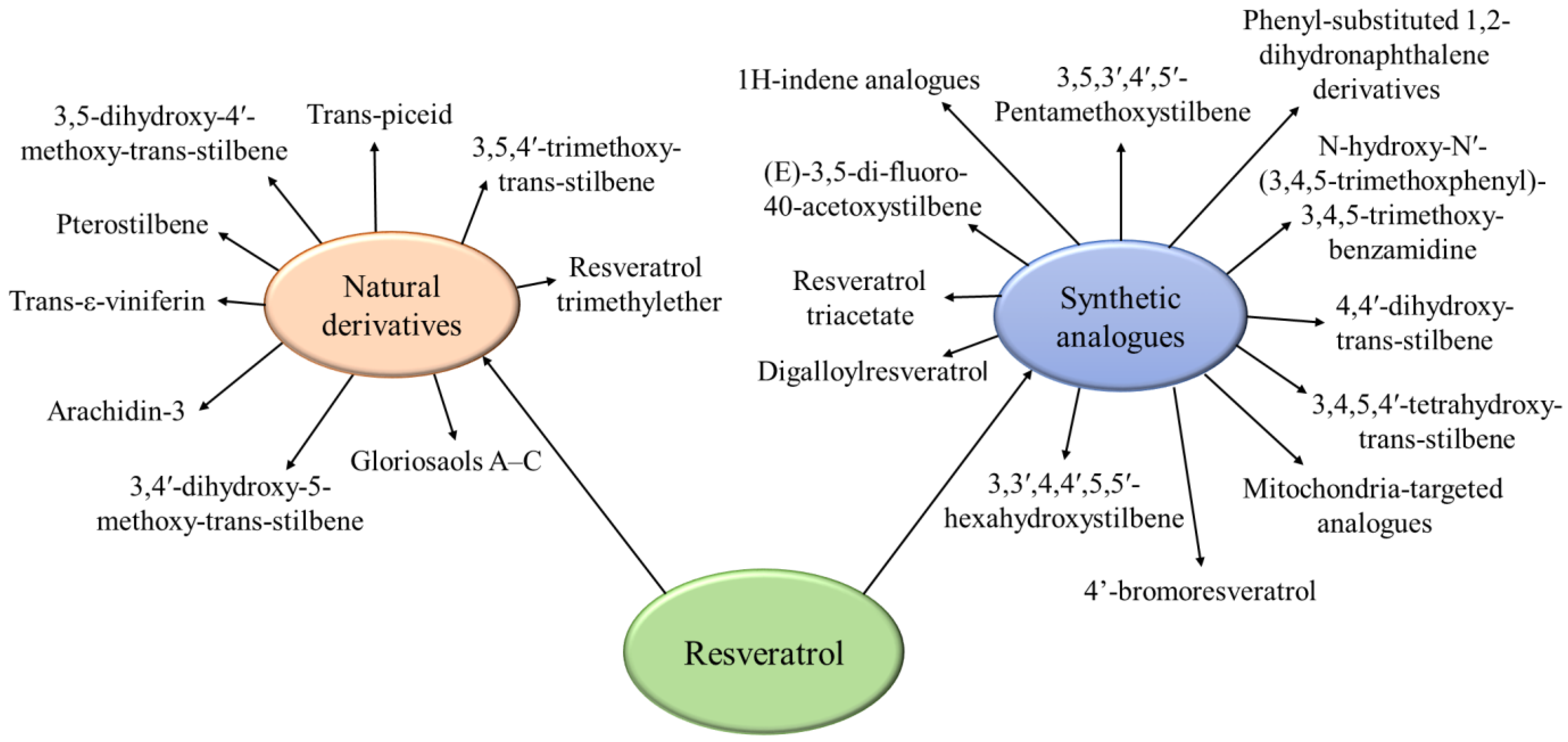 Pharmaceutics 17 00134 g005