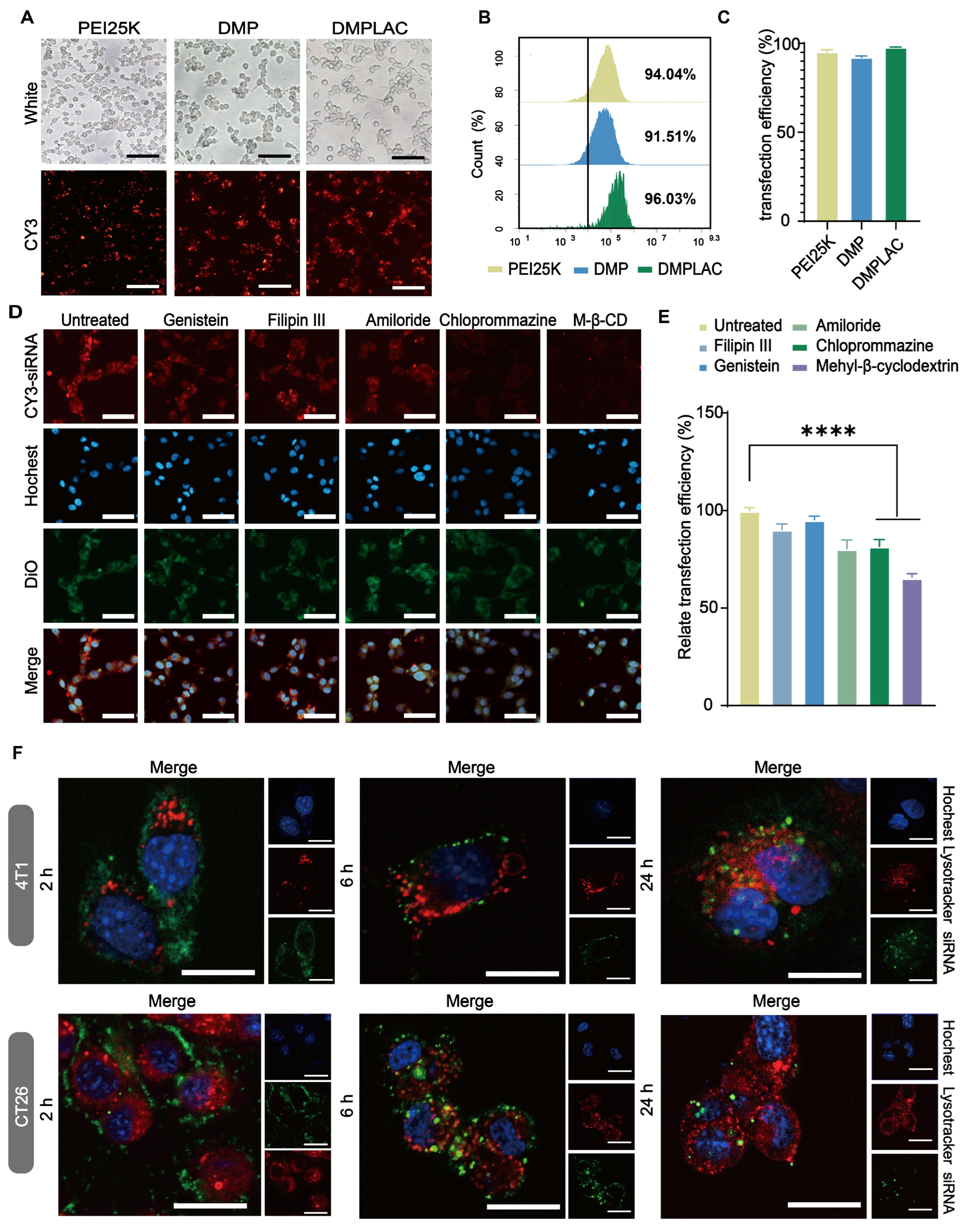 Pharmaceutics 17 00139 g002