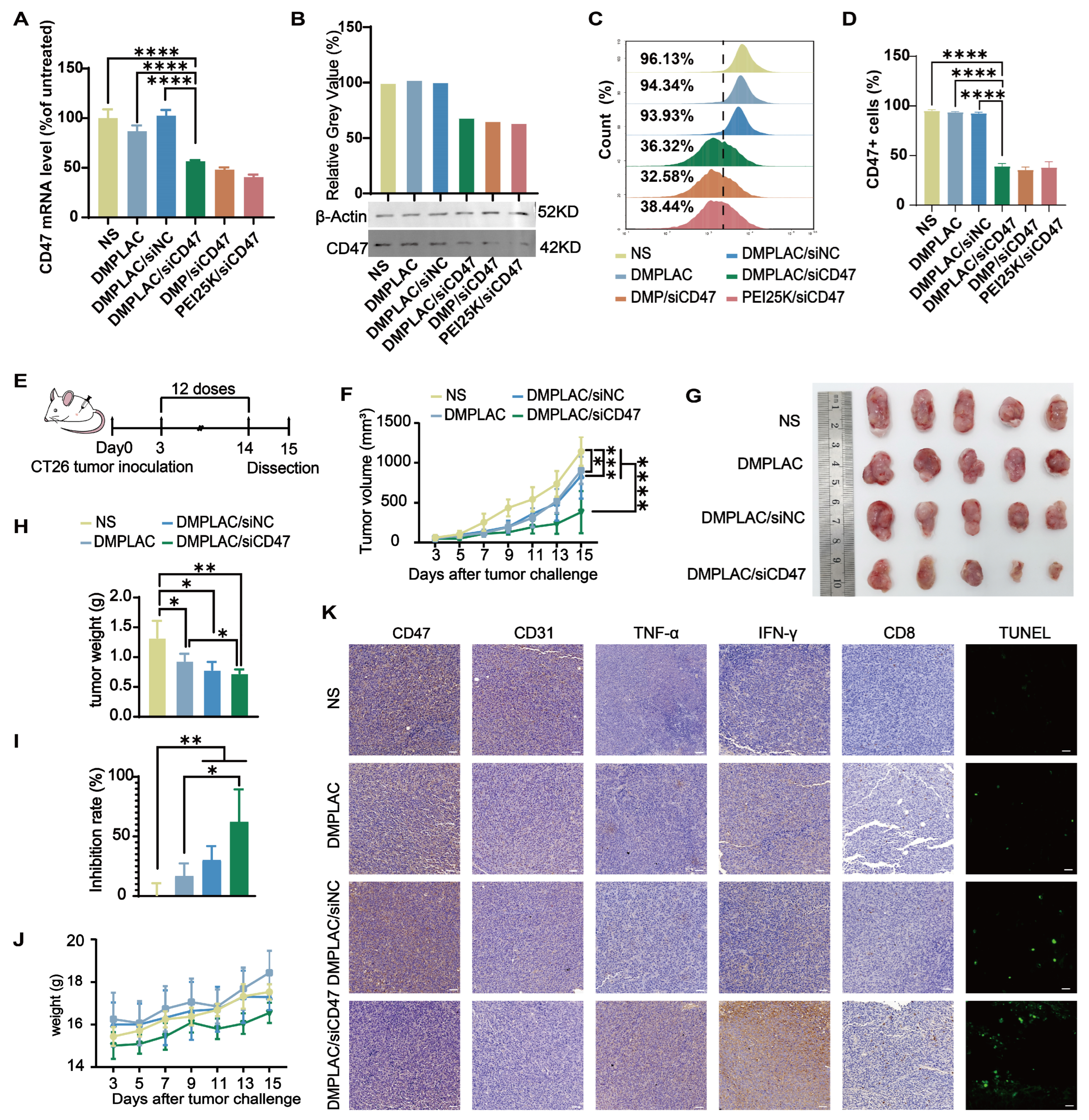 Pharmaceutics 17 00139 g006