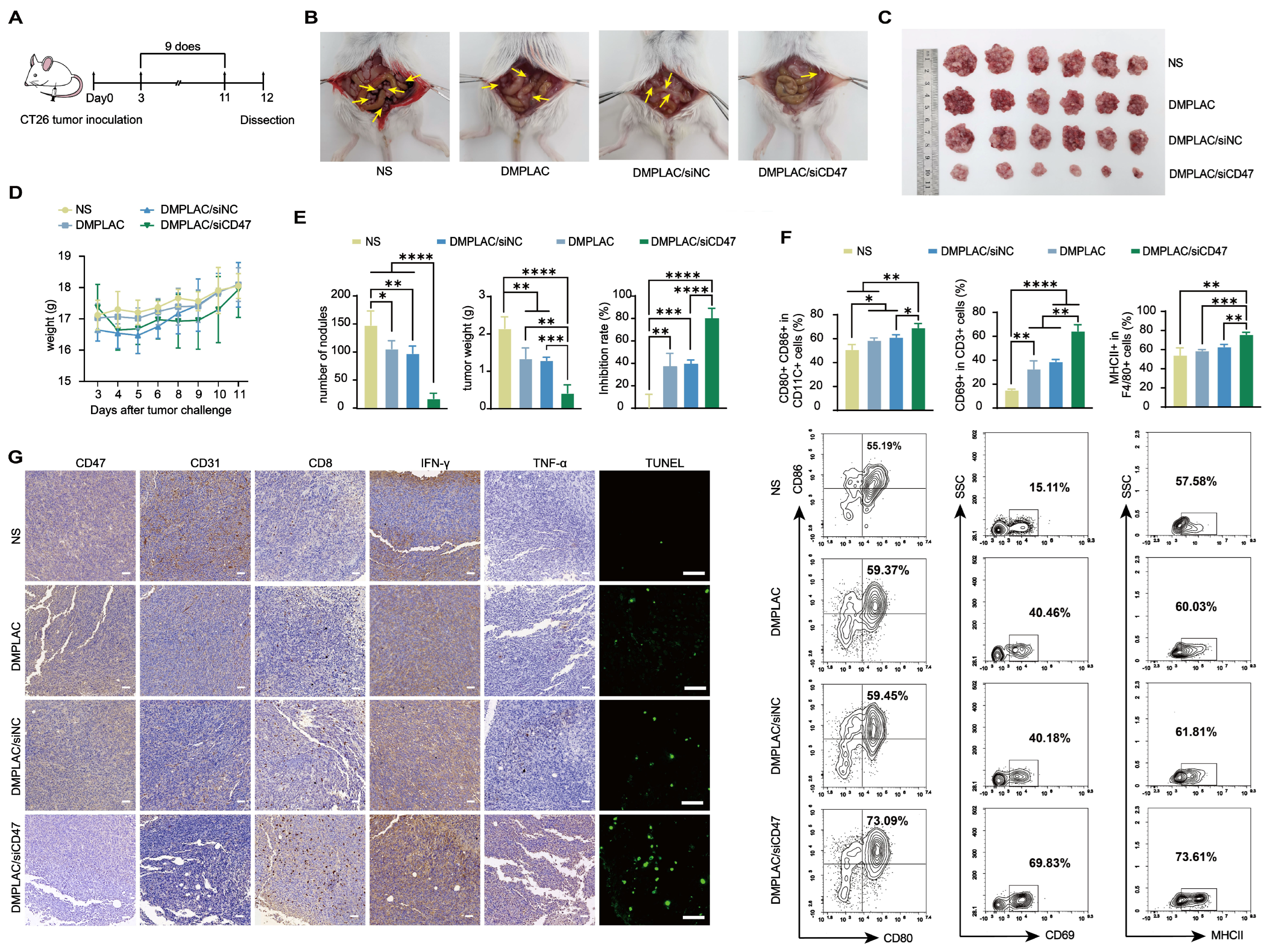 Pharmaceutics 17 00139 g007