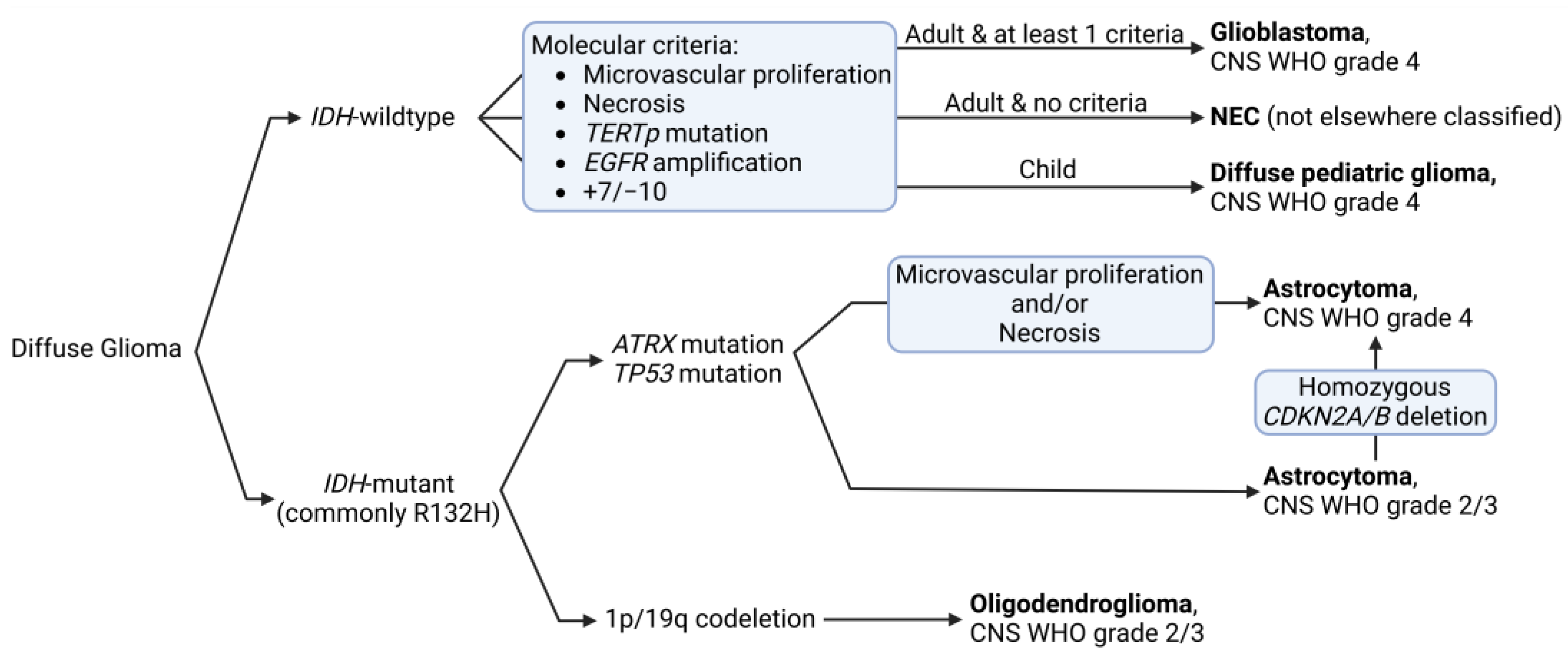Pharmaceutics 17 00142 g001