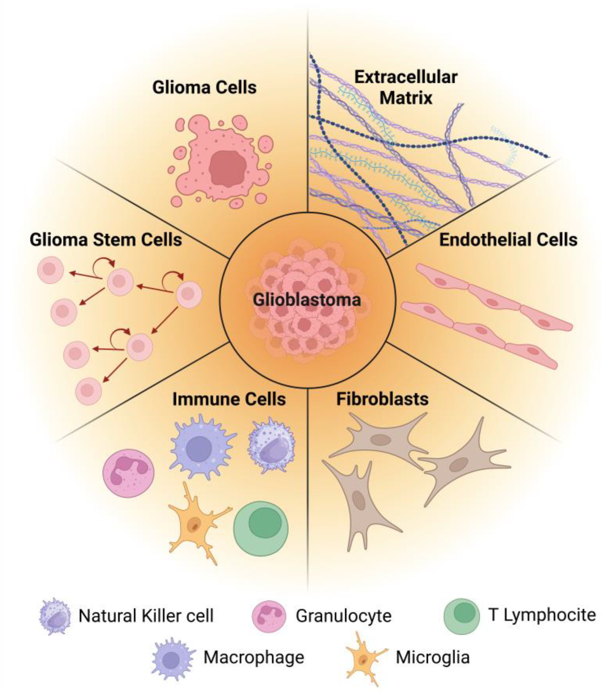 Pharmaceutics 17 00142 g002