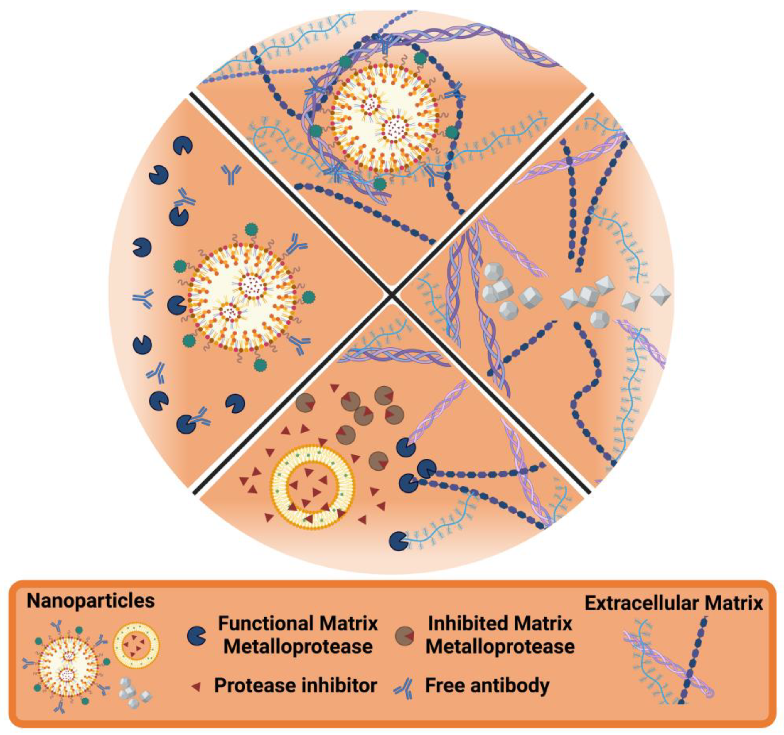 Pharmaceutics 17 00142 g004