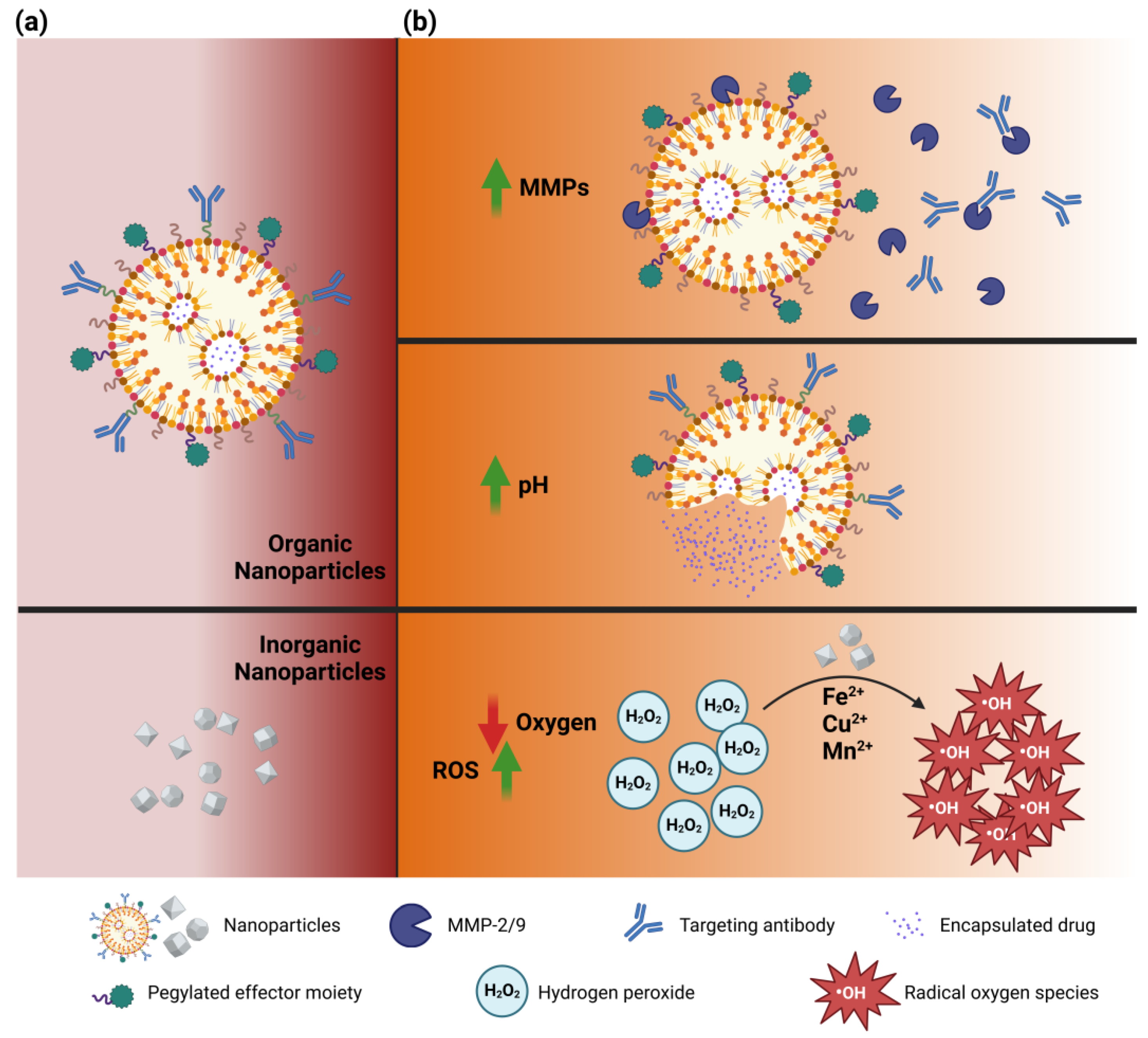 Pharmaceutics 17 00142 g006