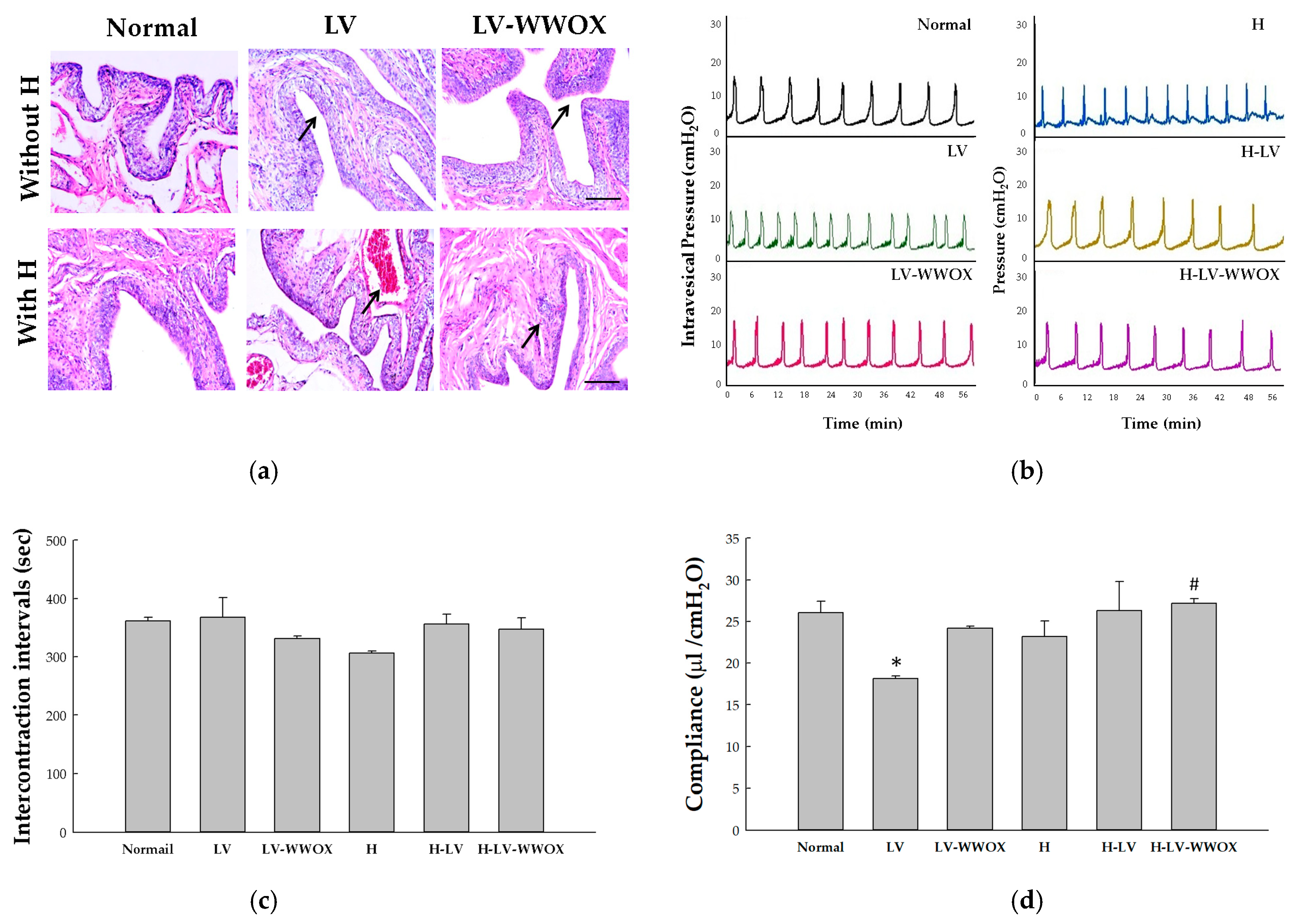 Pharmaceutics 17 00143 g003