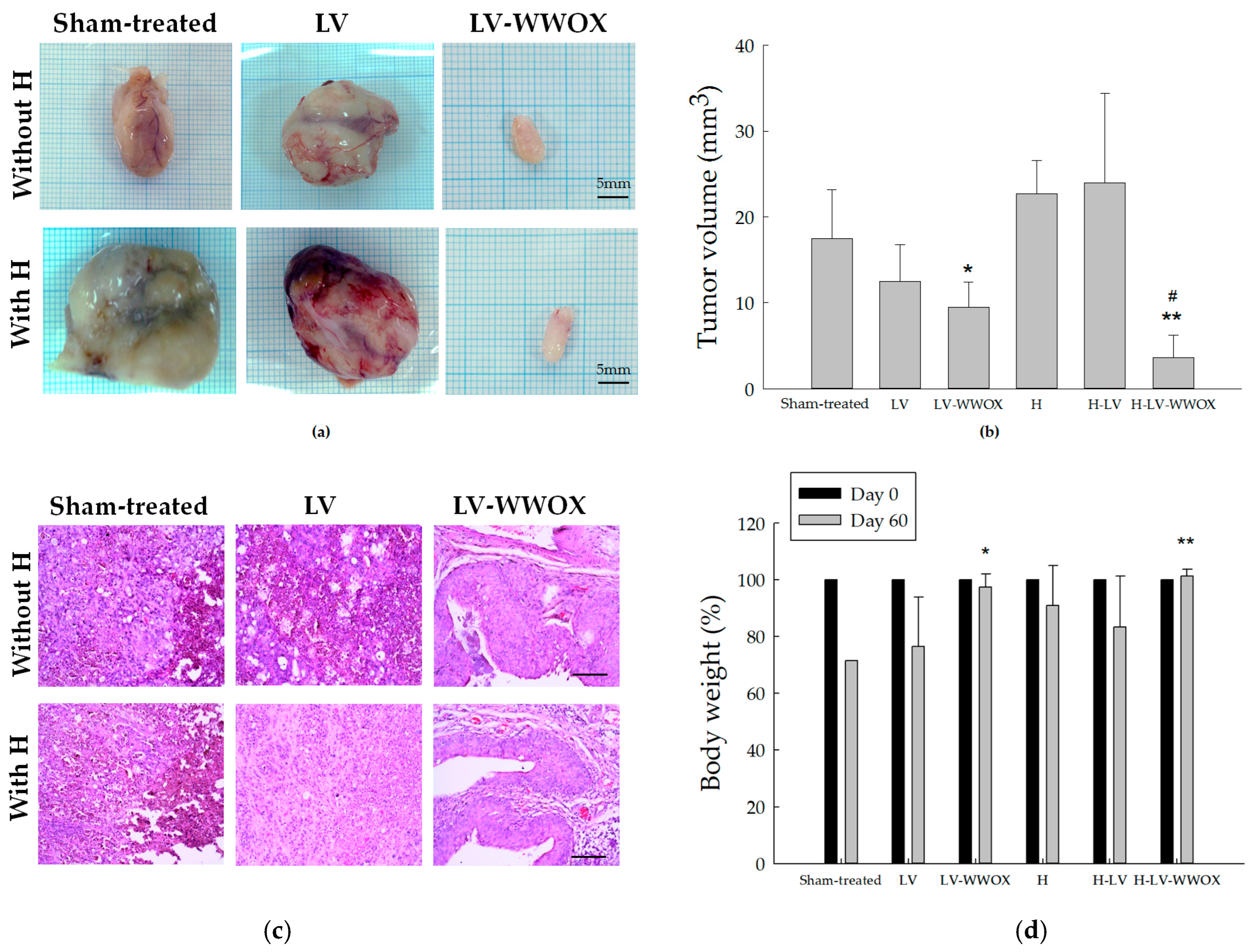 Pharmaceutics 17 00143 g005