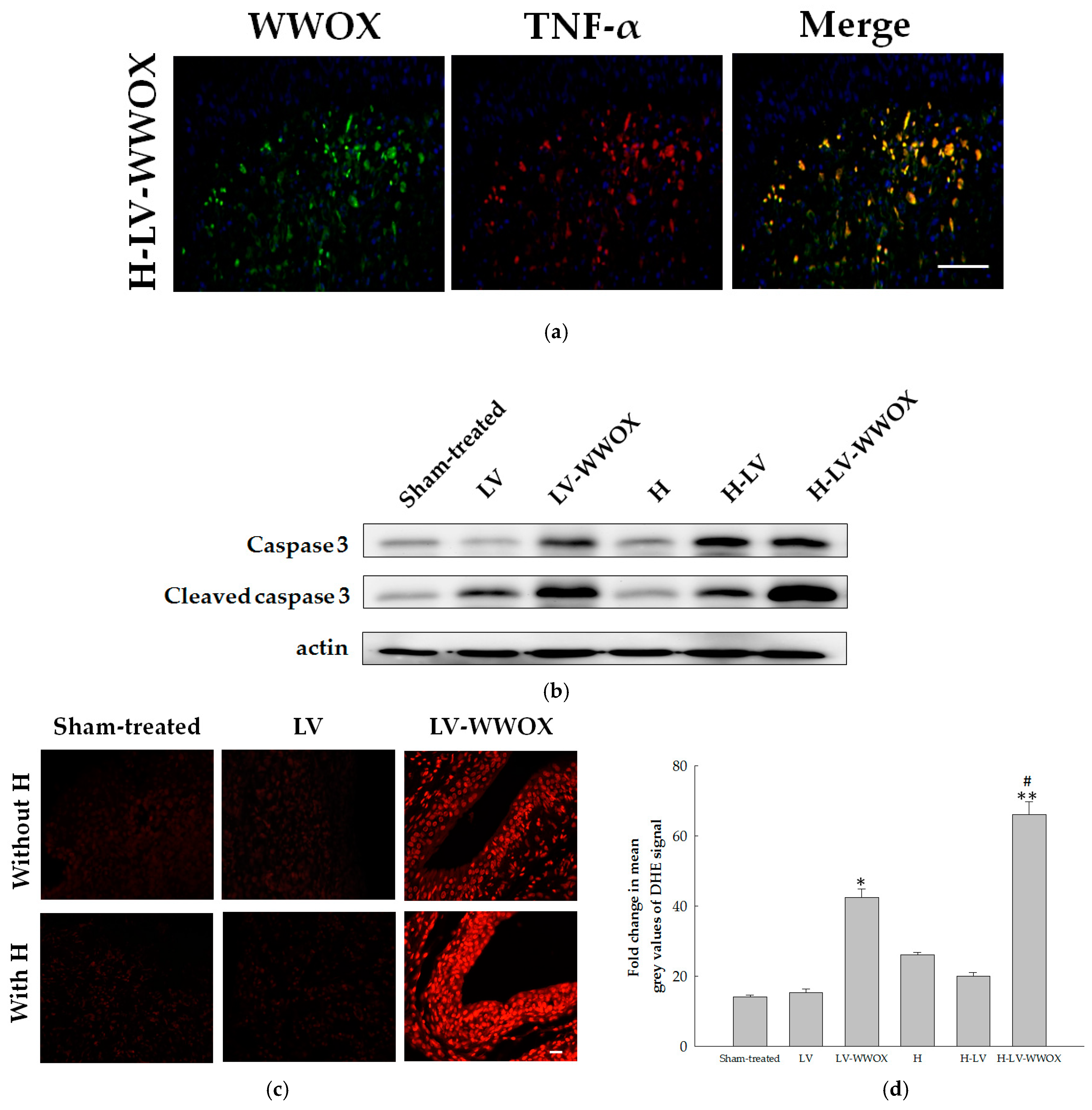Pharmaceutics 17 00143 g006