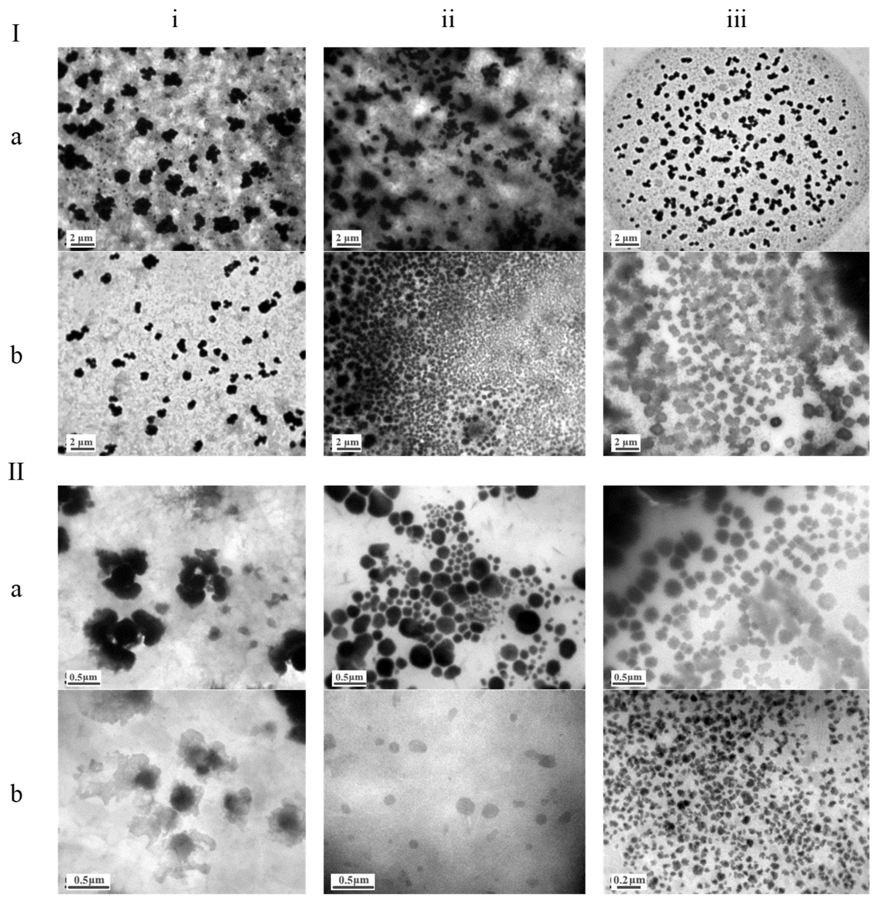 Pharmaceutics 17 00144 g001
