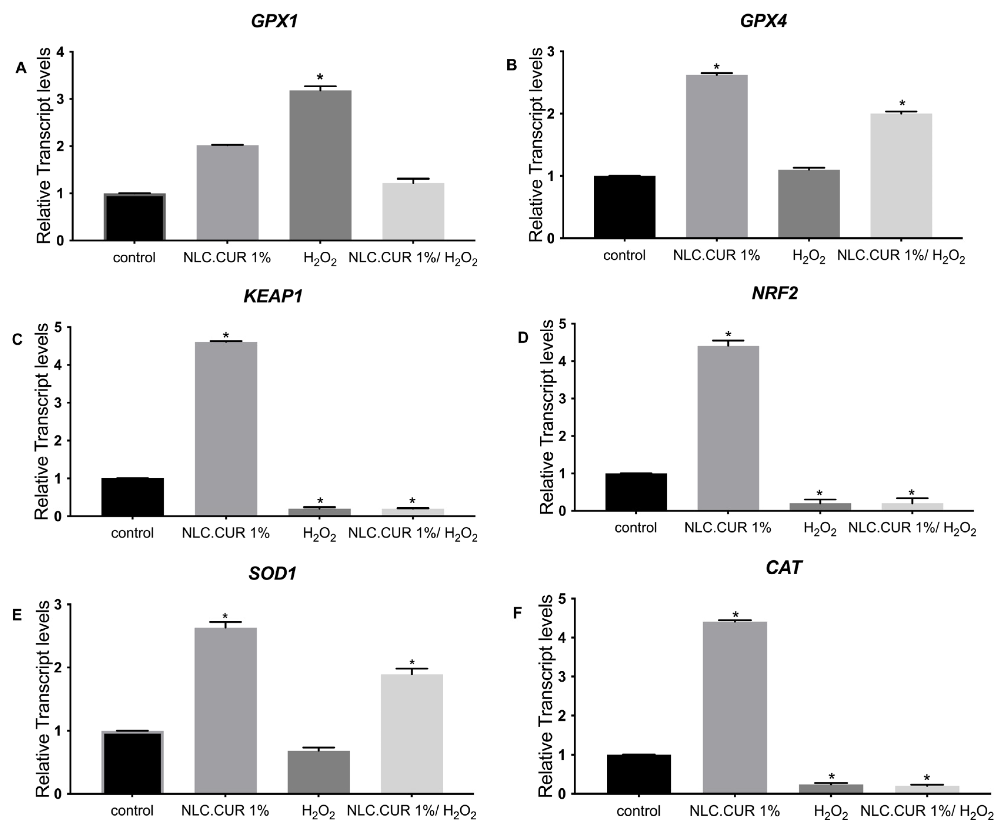 Pharmaceutics 17 00144 g006