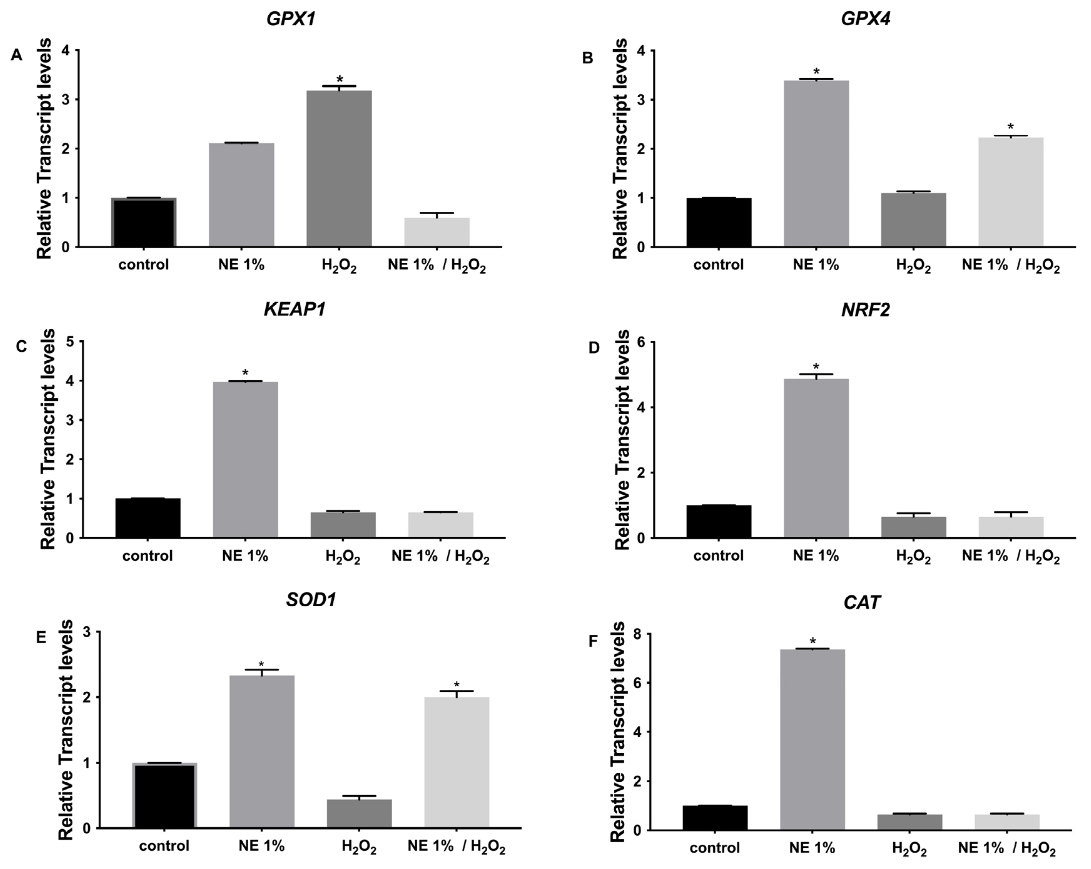 Pharmaceutics 17 00144 g007