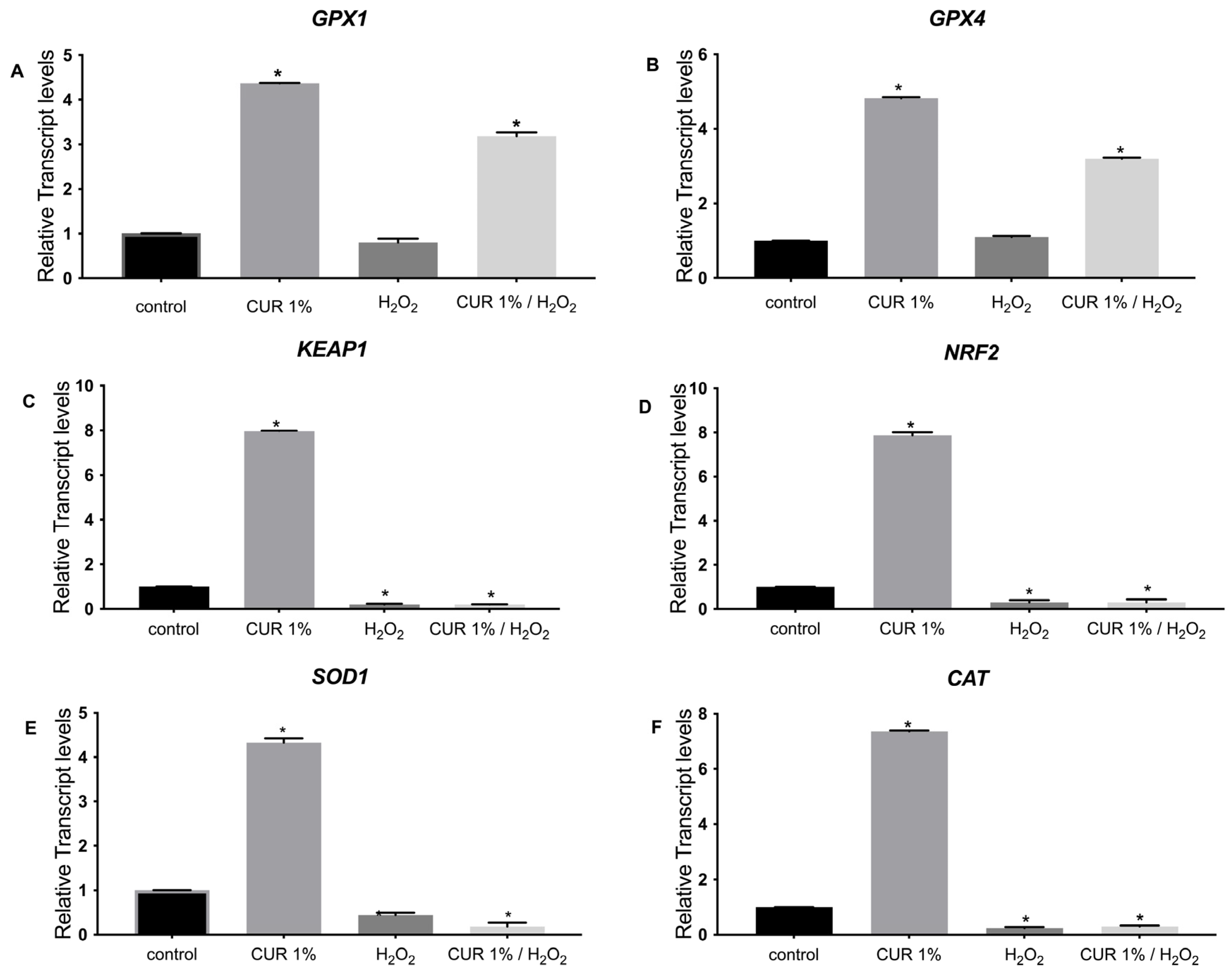 Pharmaceutics 17 00144 g008