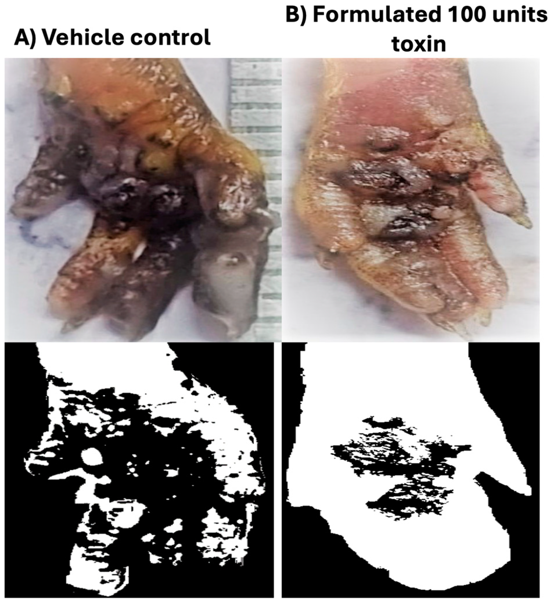 Pharmaceutics 17 00146 g007
