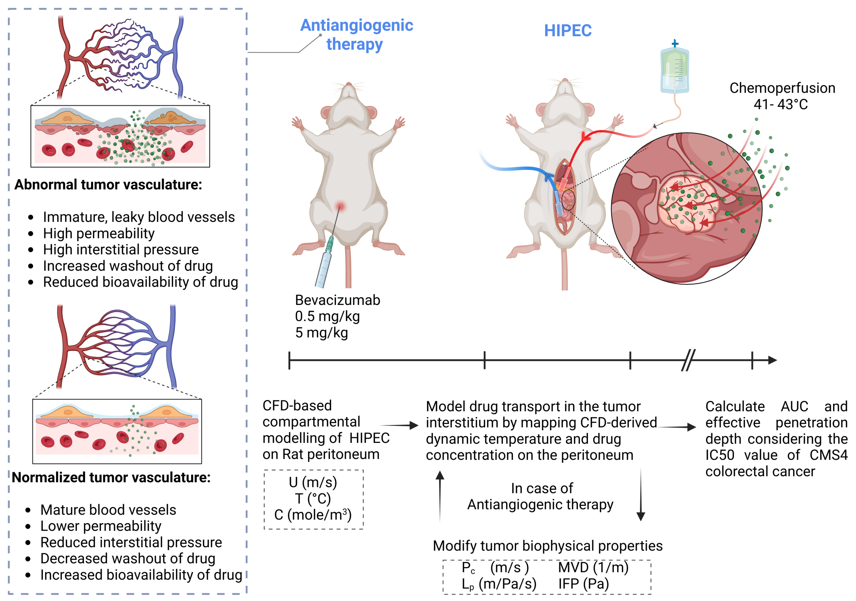 Pharmaceutics 17 00155 g001