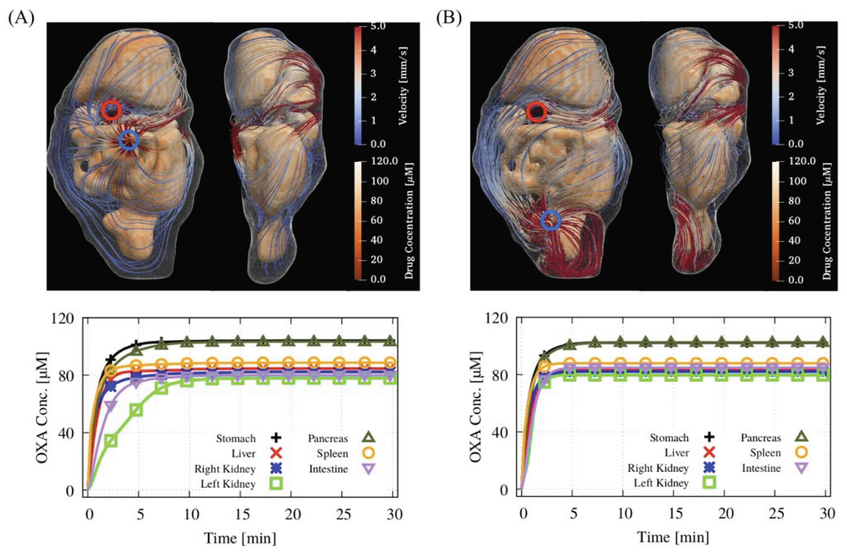 Pharmaceutics 17 00155 g002