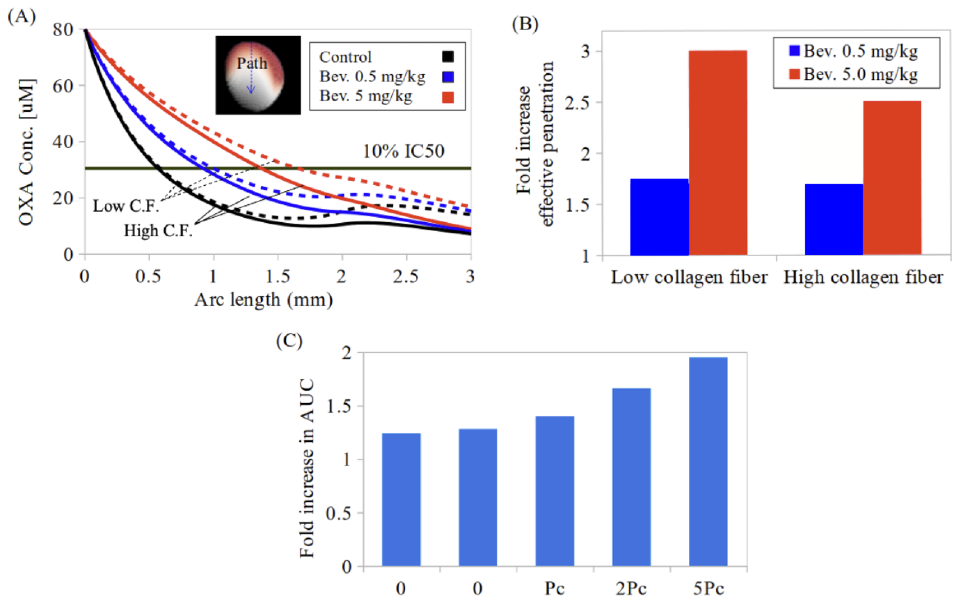 Pharmaceutics 17 00155 g004