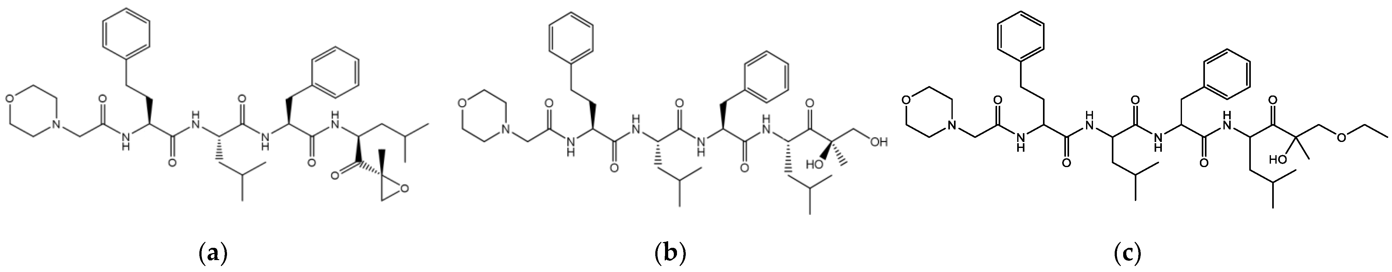 Pharmaceutics 17 00160 g001