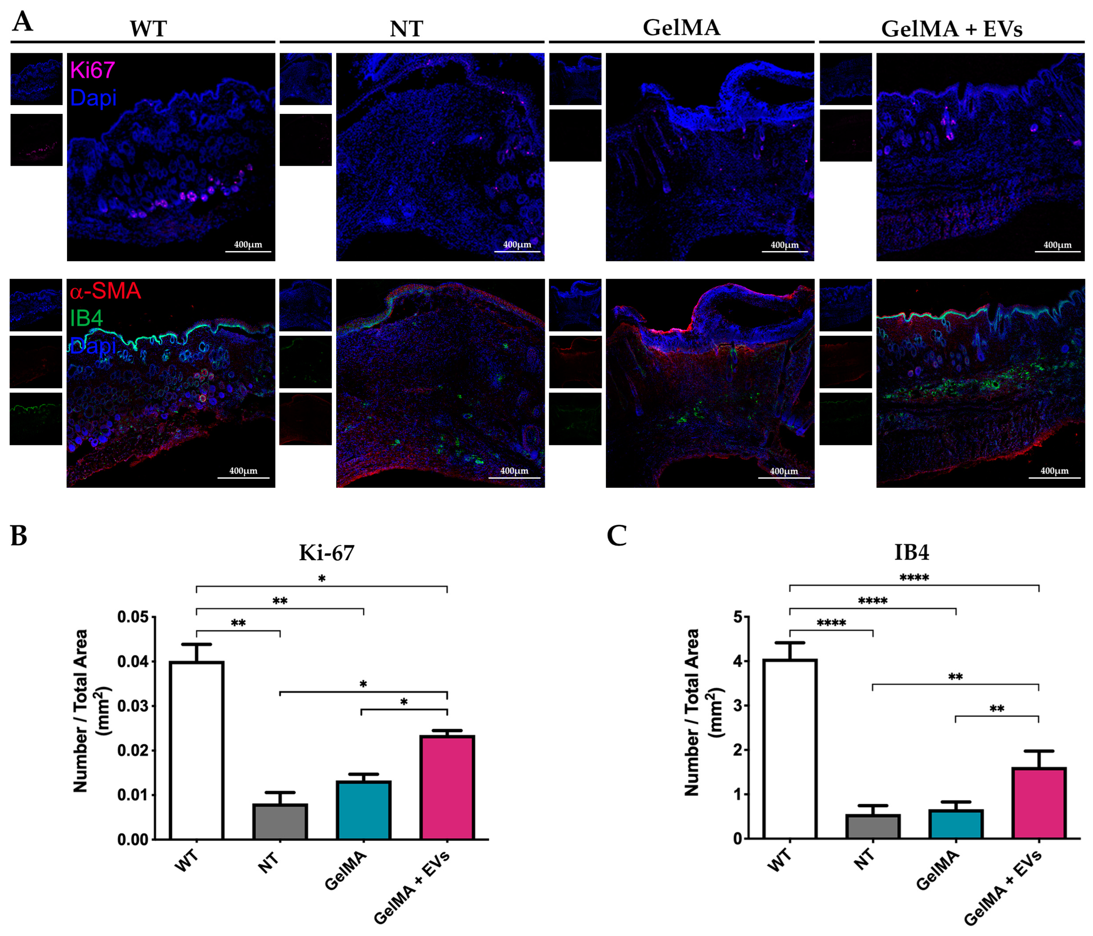 Pharmaceutics 17 00162 g008