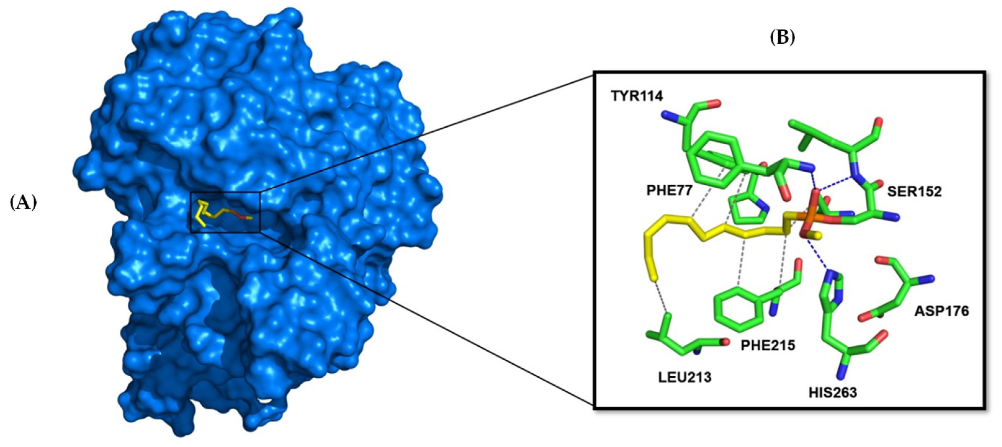 Pharmaceutics 17 00163 g006