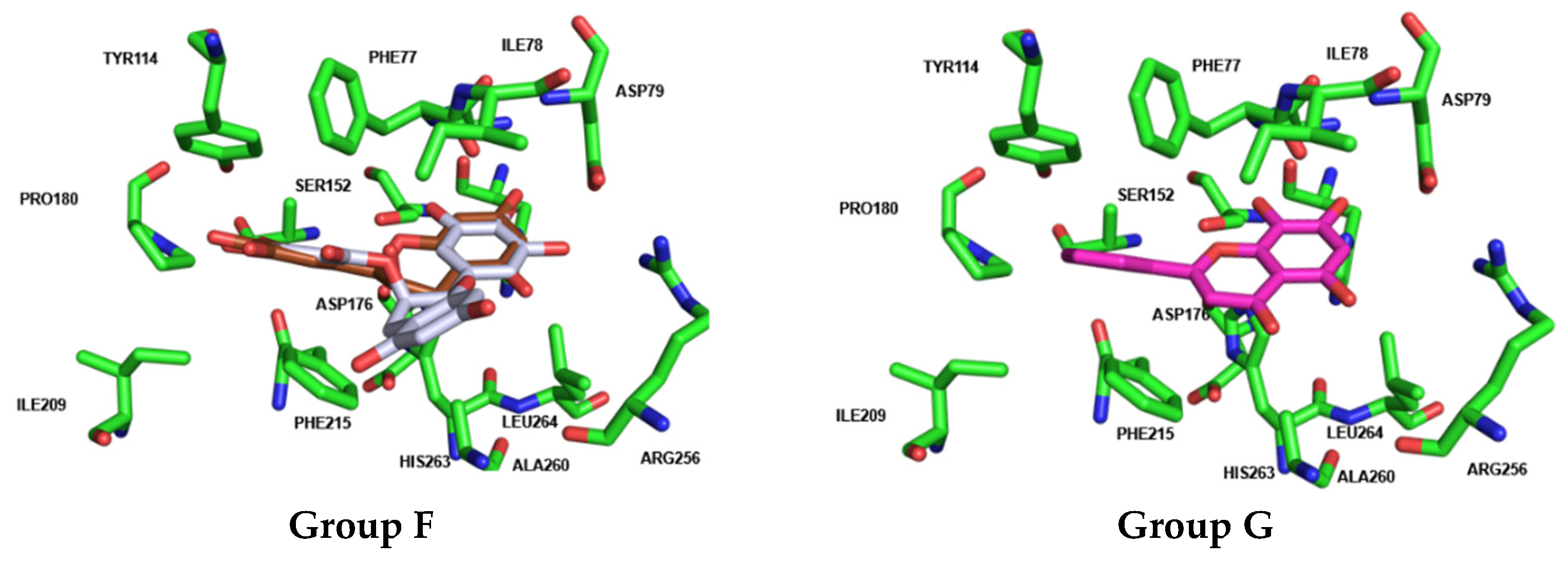 Pharmaceutics 17 00163 g012
