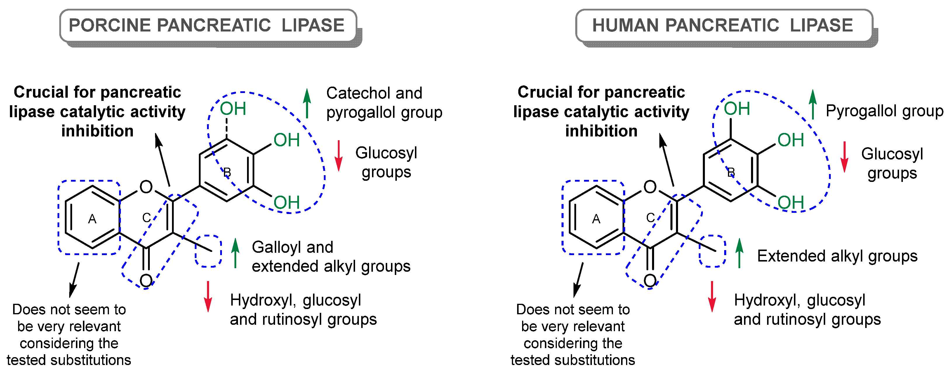 Pharmaceutics 17 00163 g016