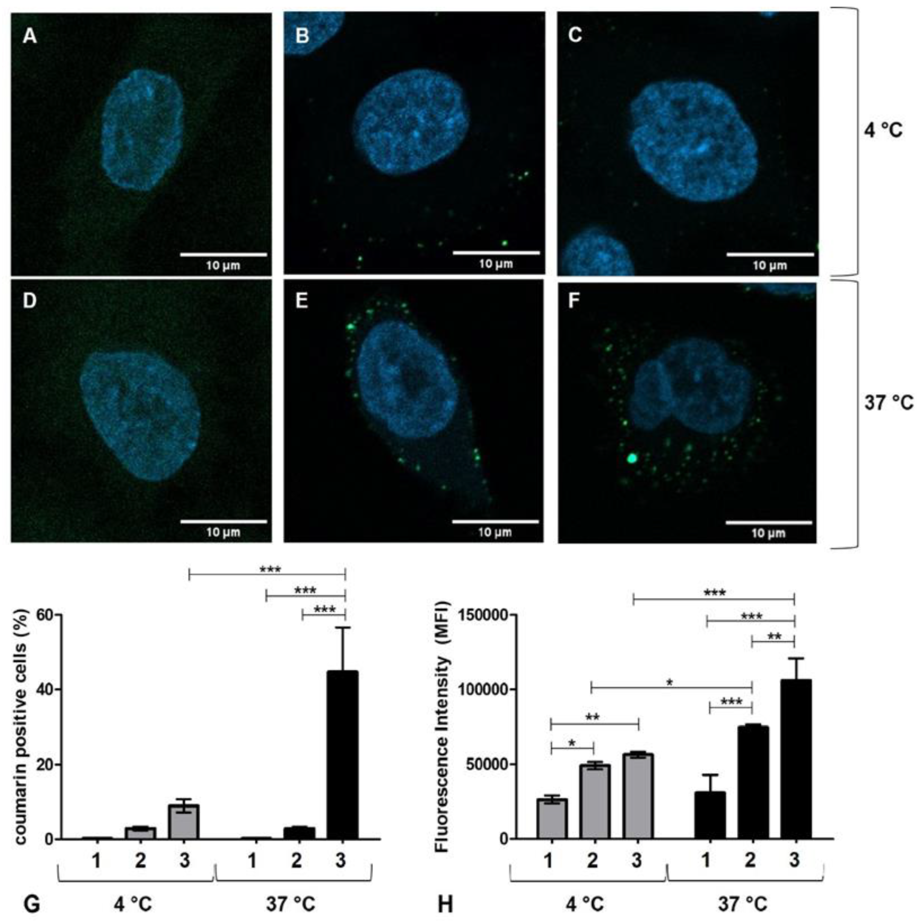 Pharmaceutics 17 00164 g004