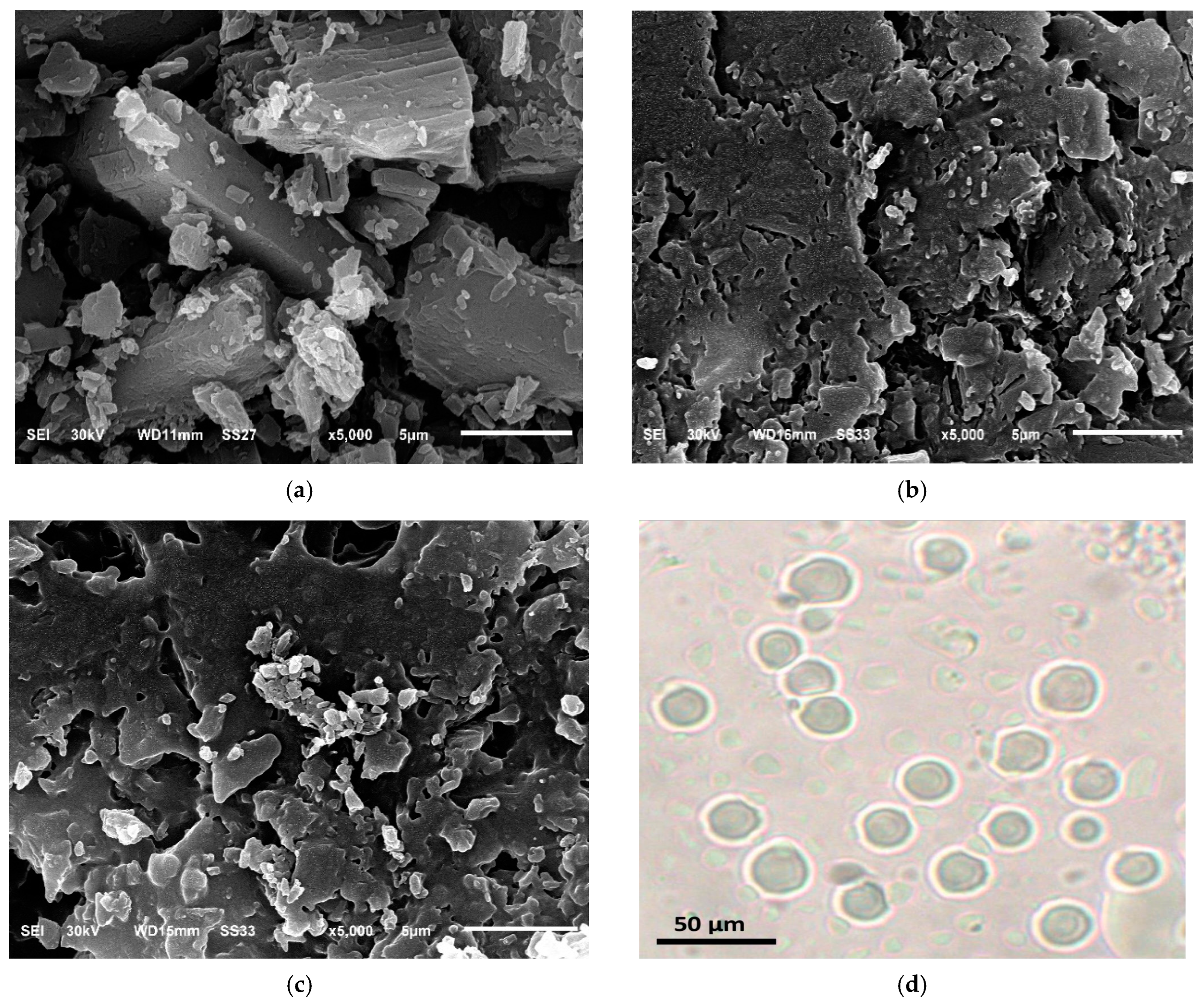 Pharmaceutics 17 00165 g006