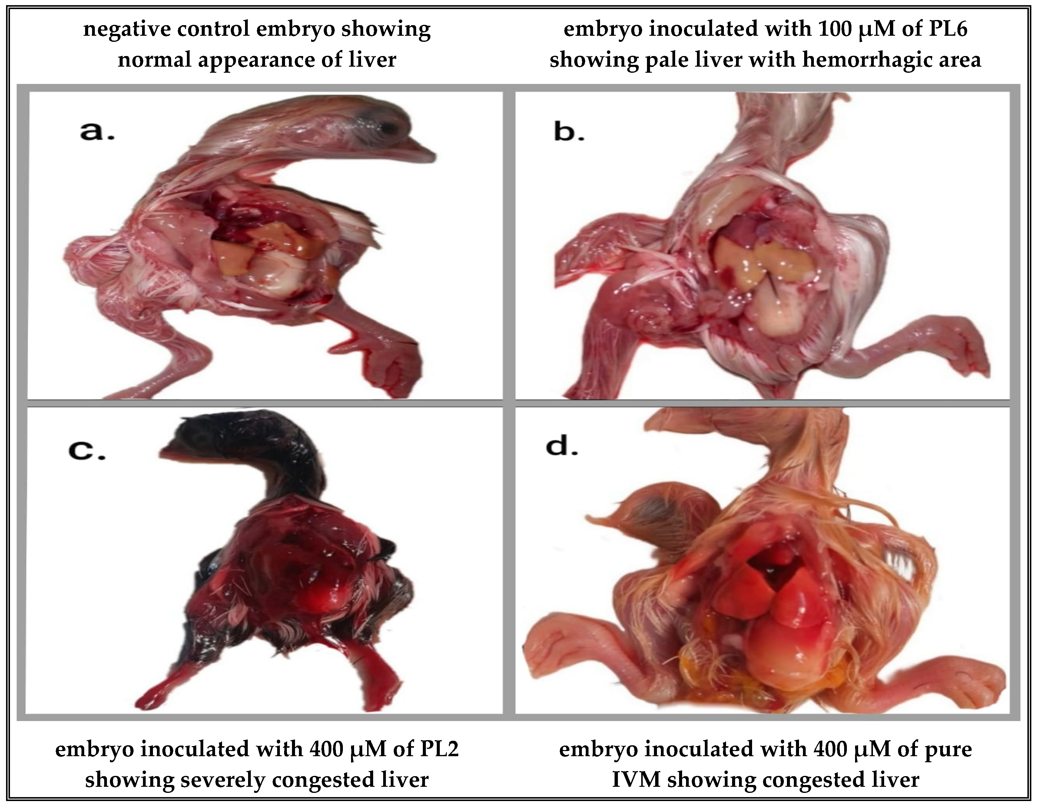 Pharmaceutics 17 00165 g010