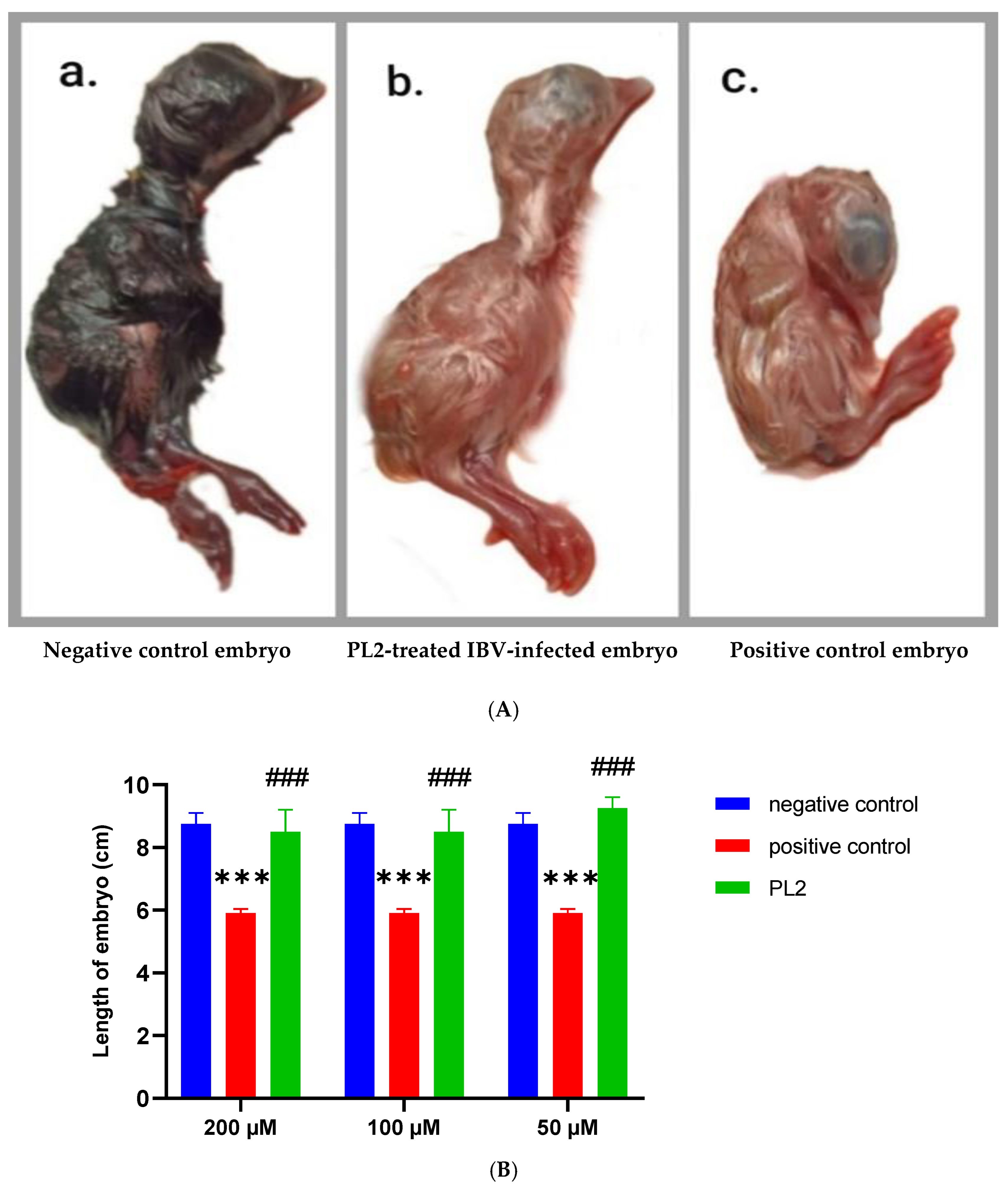 Pharmaceutics 17 00165 g012