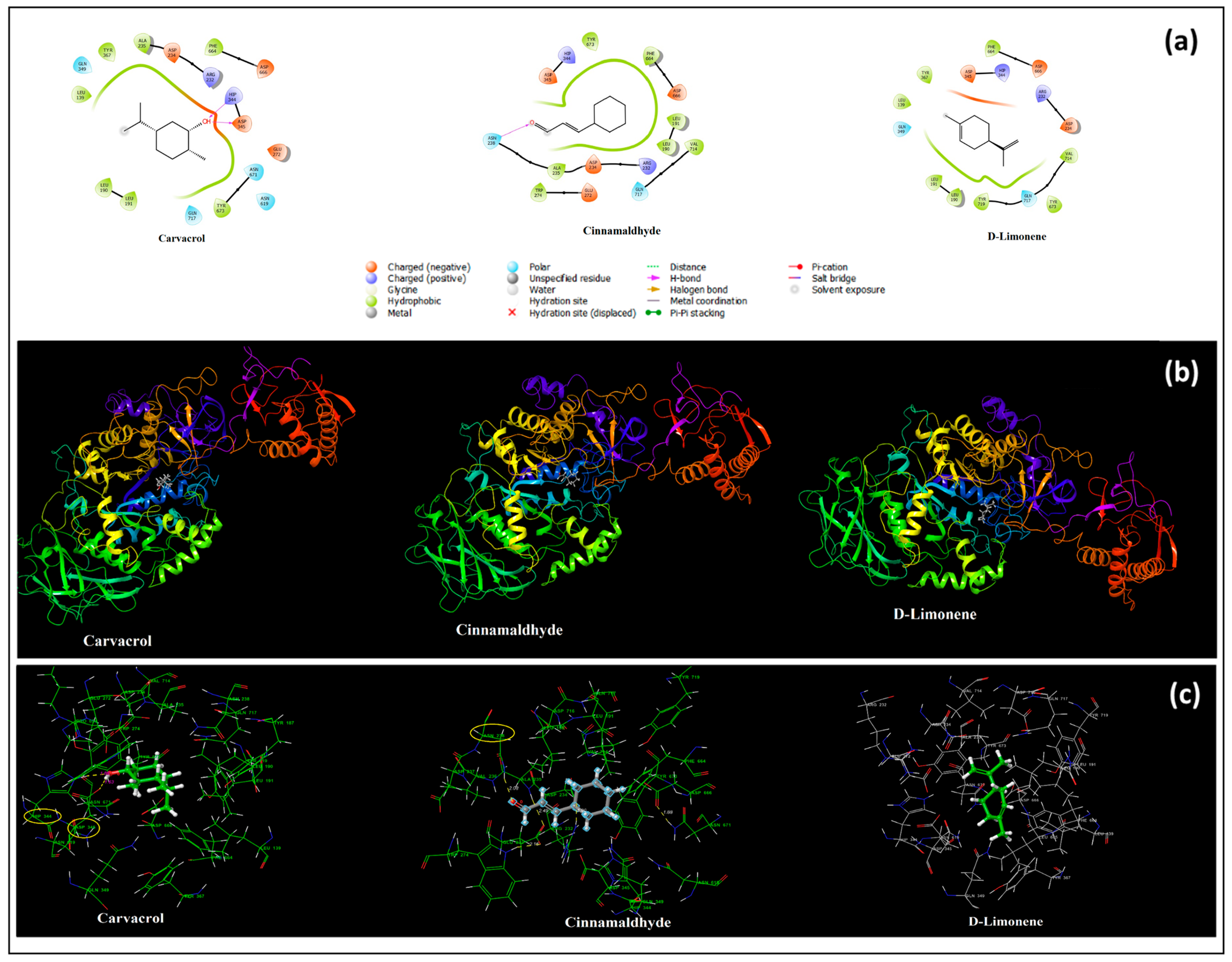 Pharmaceutics 17 00167 g003
