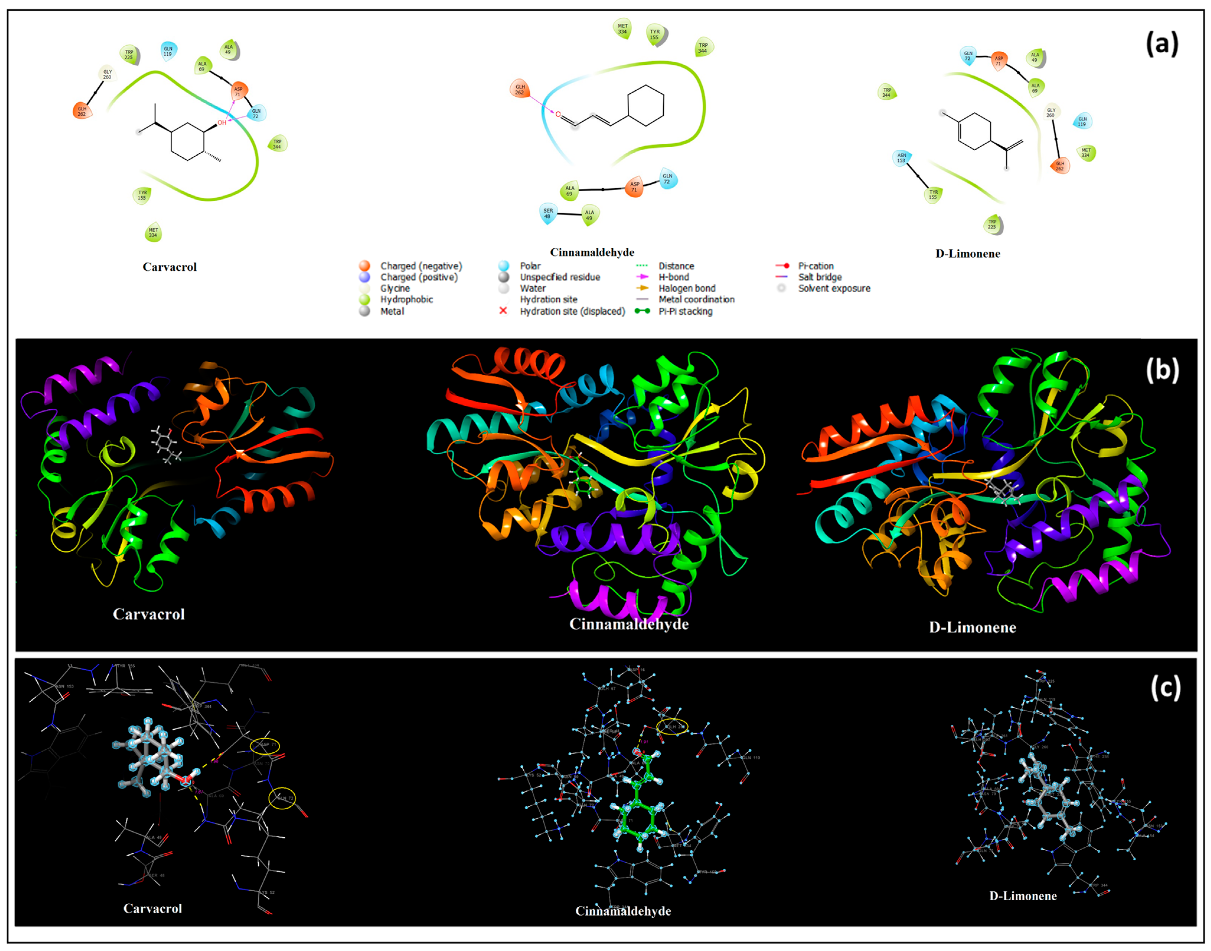 Pharmaceutics 17 00167 g004