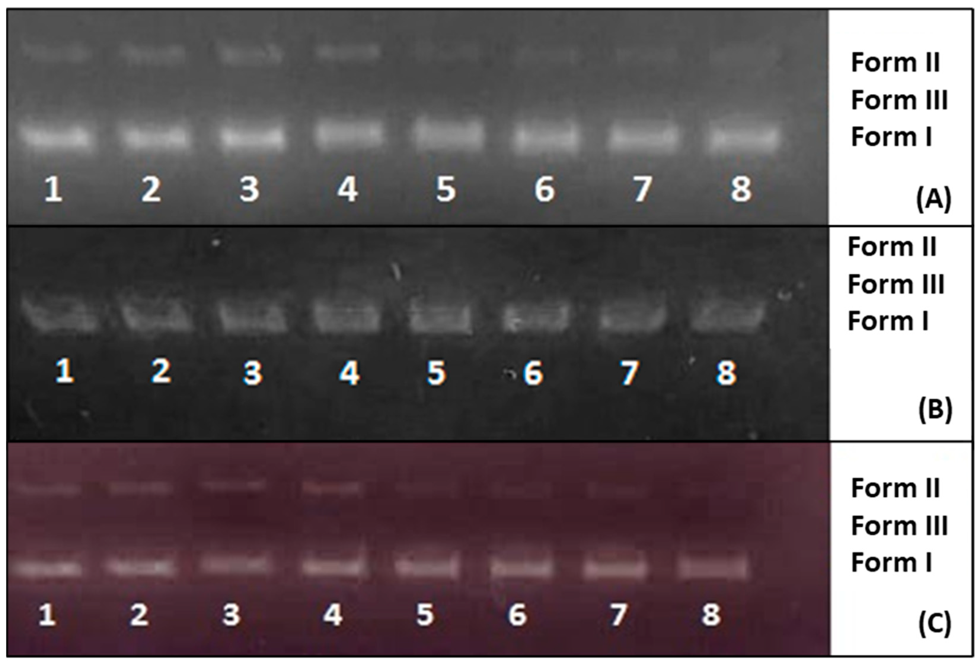 Pharmaceutics 17 00167 g006