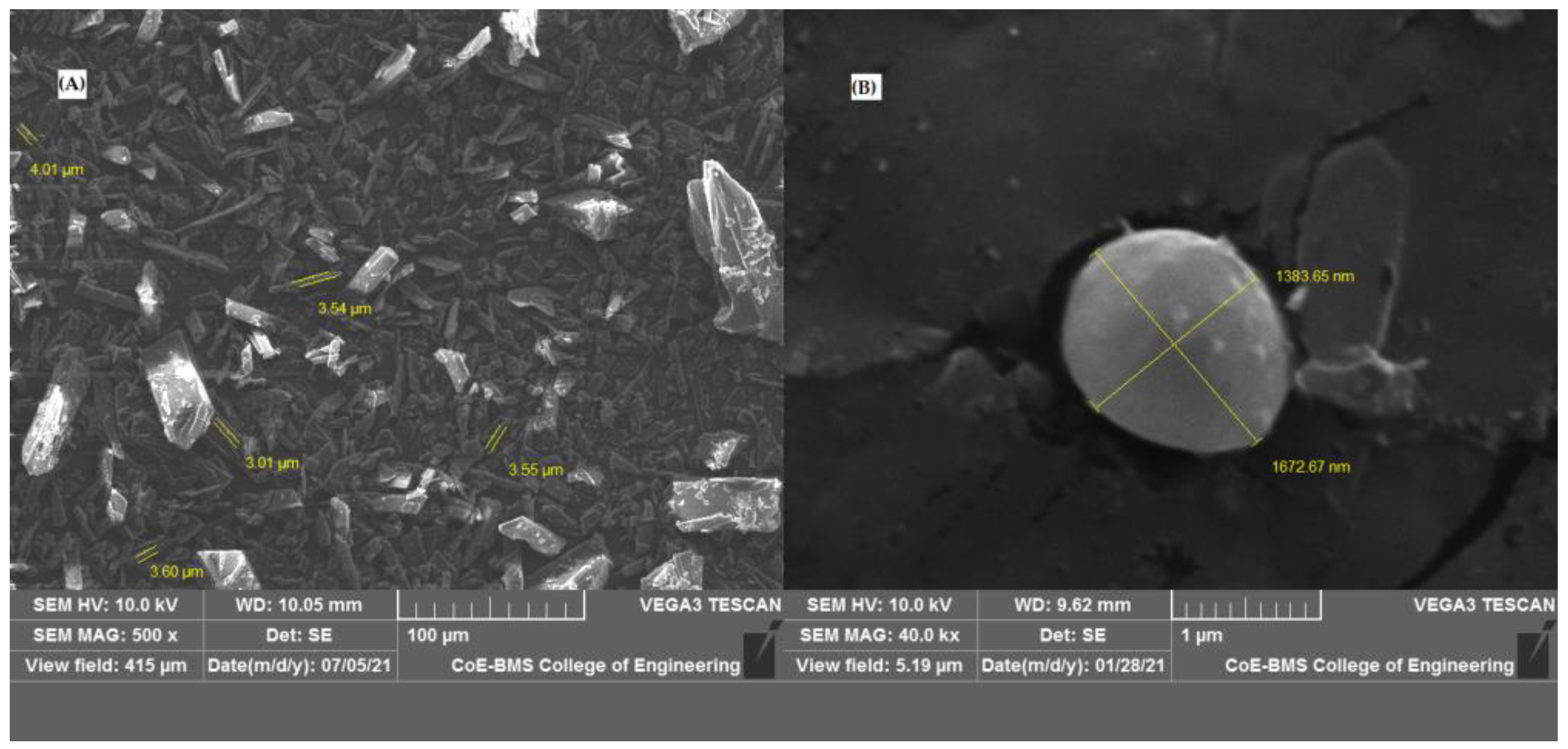 Pharmaceutics 17 00170 g003 Pharmaceutics 17 00170 g003