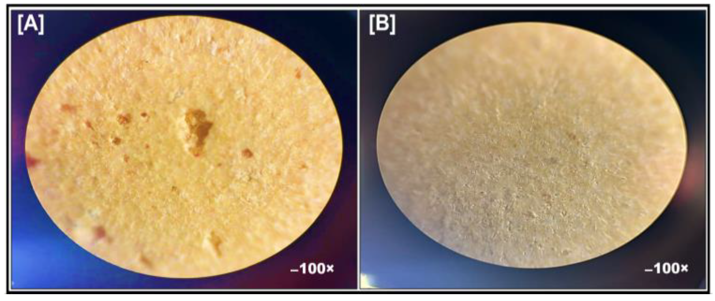 Pharmaceutics 17 00170 g008 Pharmaceutics 17 00170 g008