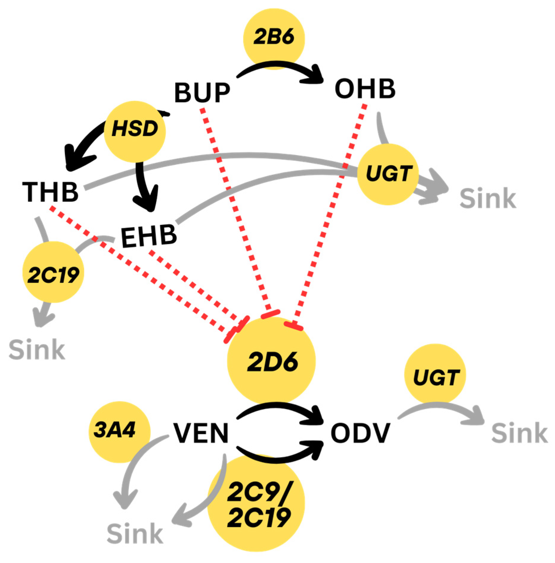 Pharmaceutics 17 00179 g001