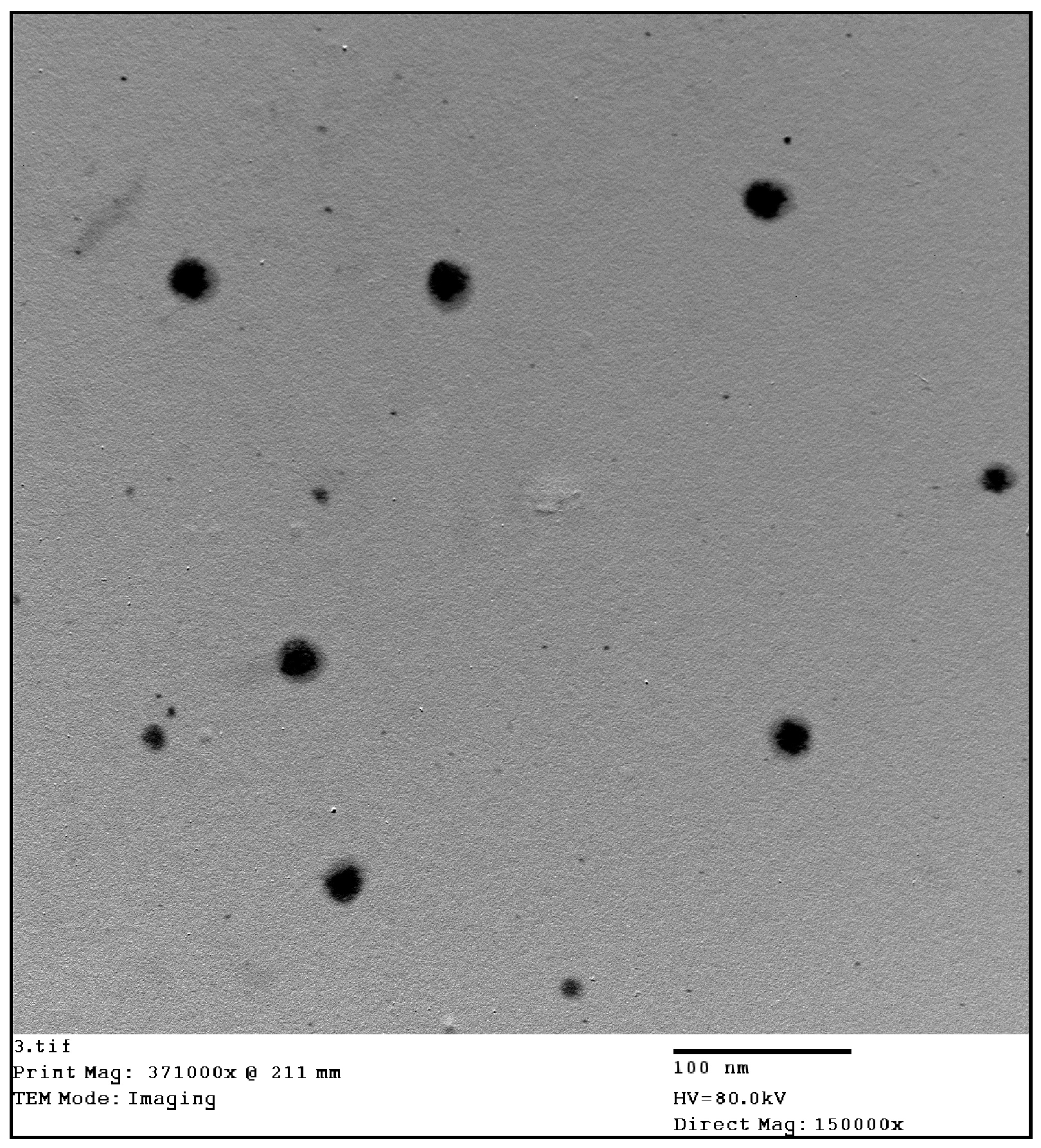 Pharmaceutics 17 00180 g005