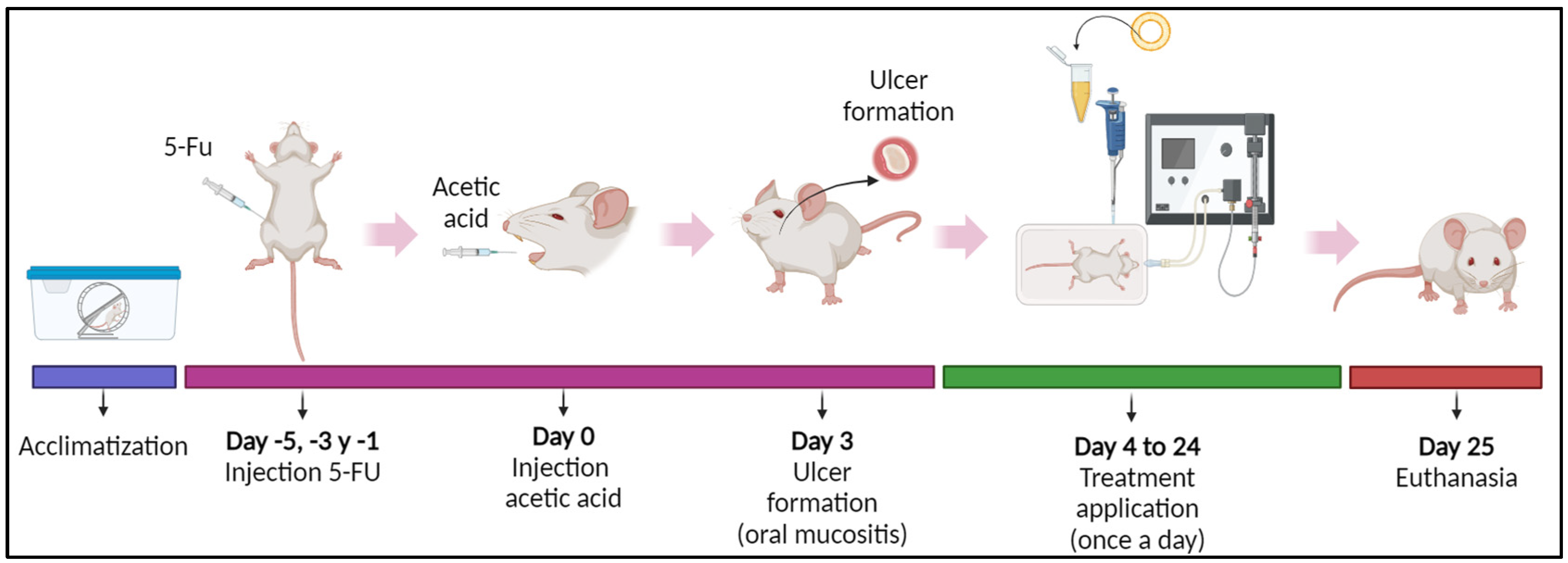 Pharmaceutics 17 00181 g001