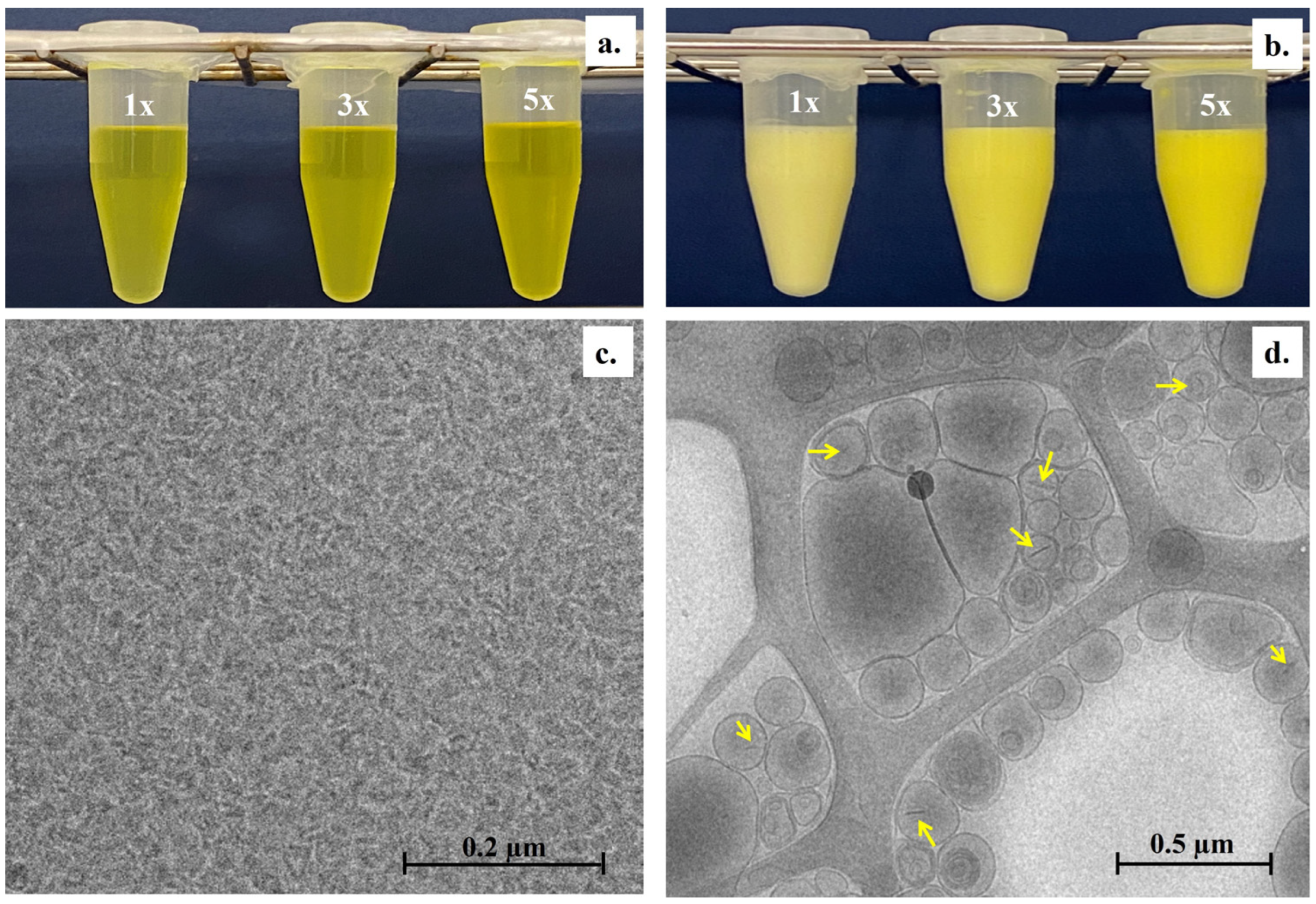 Pharmaceutics 17 00181 g002