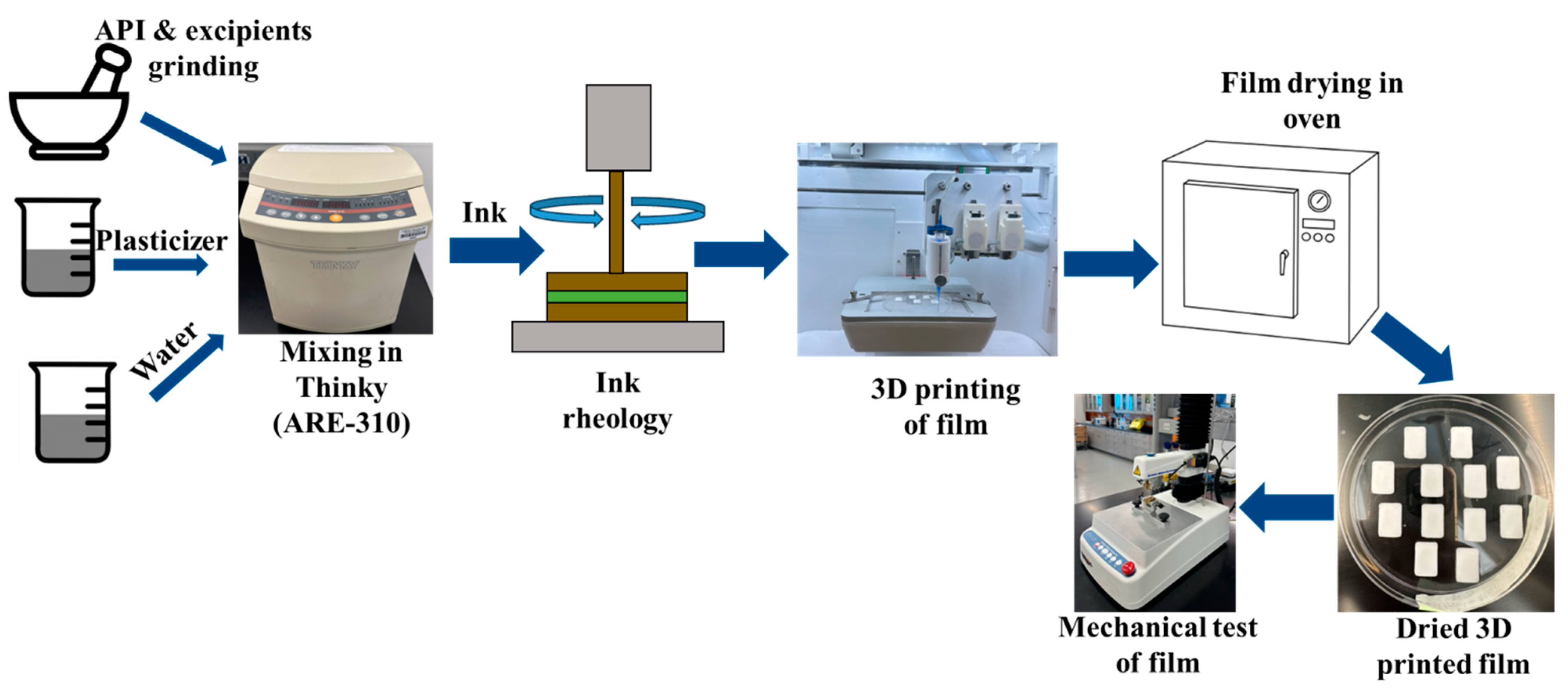 Pharmaceutics 17 00183 g002