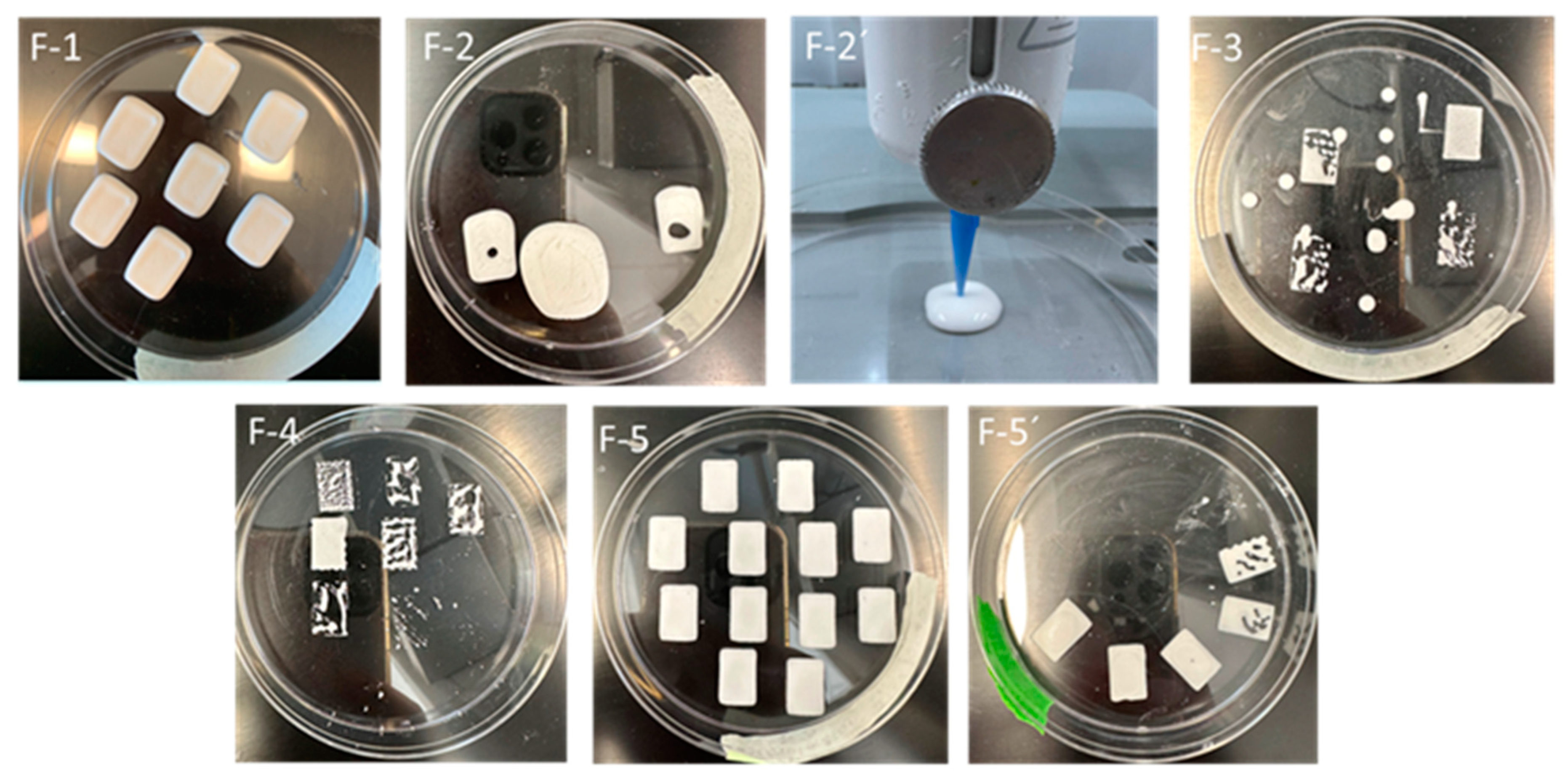 Pharmaceutics 17 00183 g003