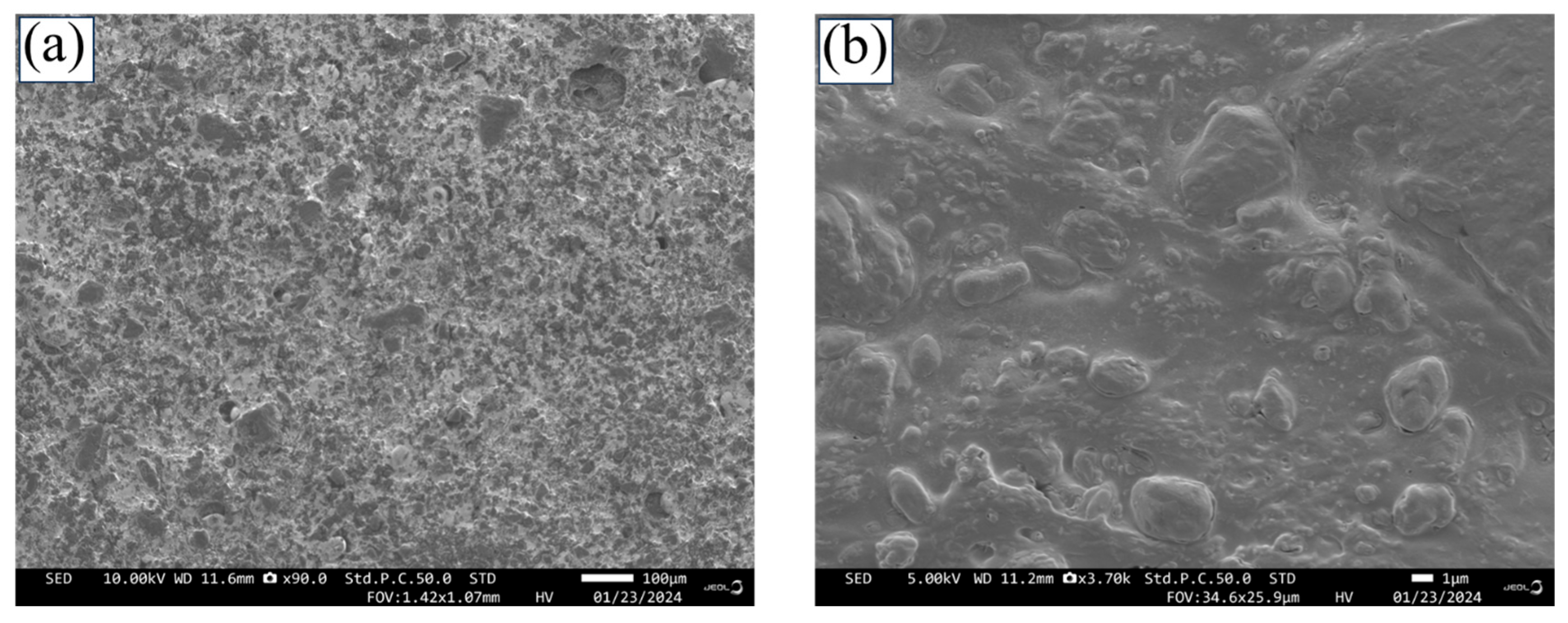 Pharmaceutics 17 00183 g008