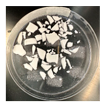 Pharmaceutics 17 00183 i001