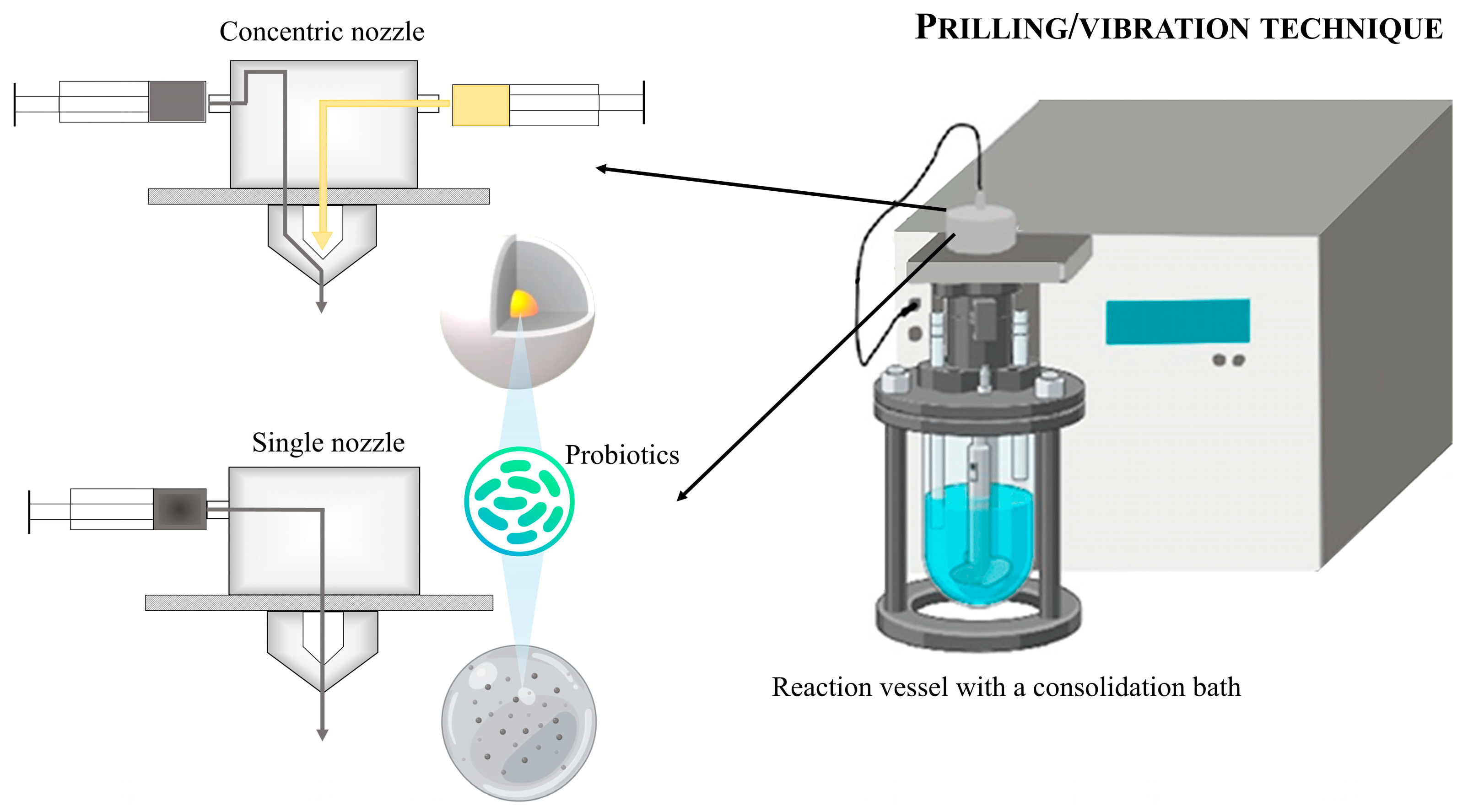 Pharmaceutics 17 00185 g003