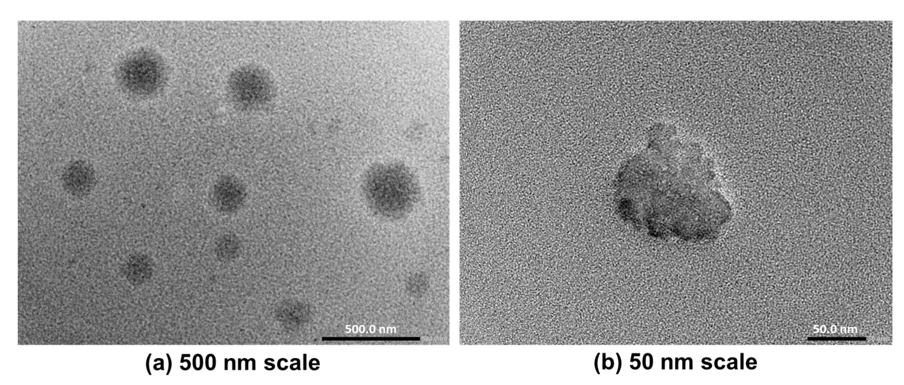 Pharmaceutics 17 00193 g006